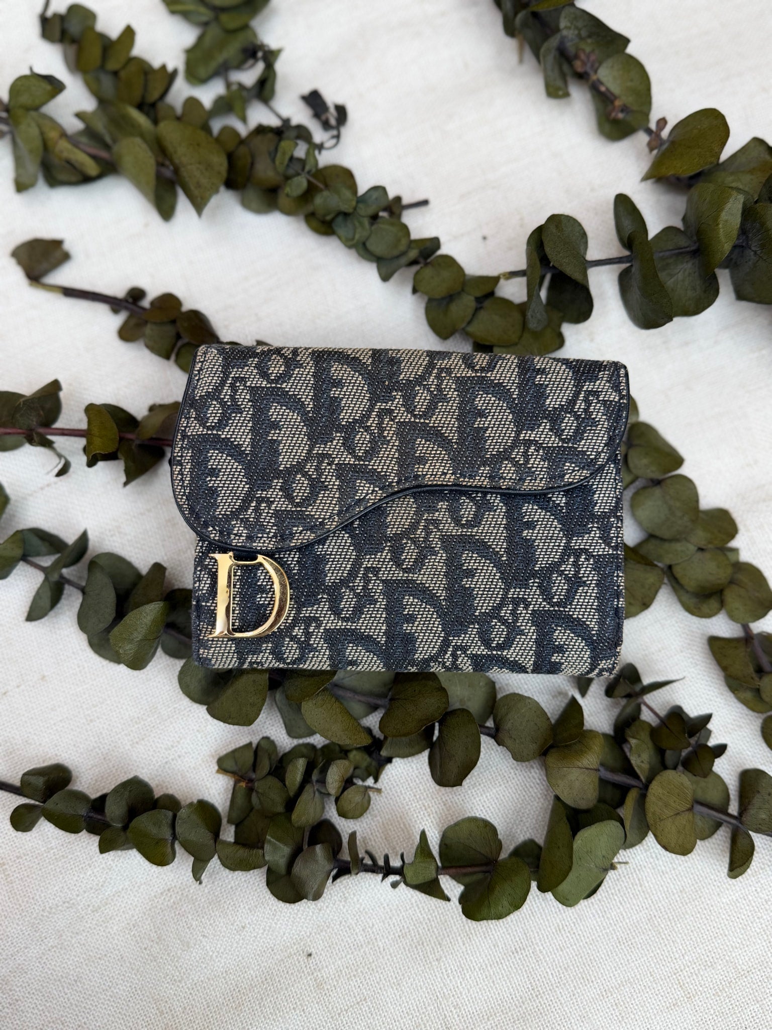 Christian Dior Blue Trotter Saddle Compact Wallet