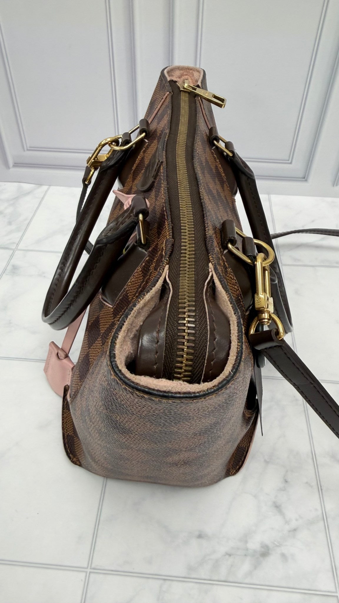 Louis Vuitton Damier Ebene & Pink Caissa PM 2Way Bag
