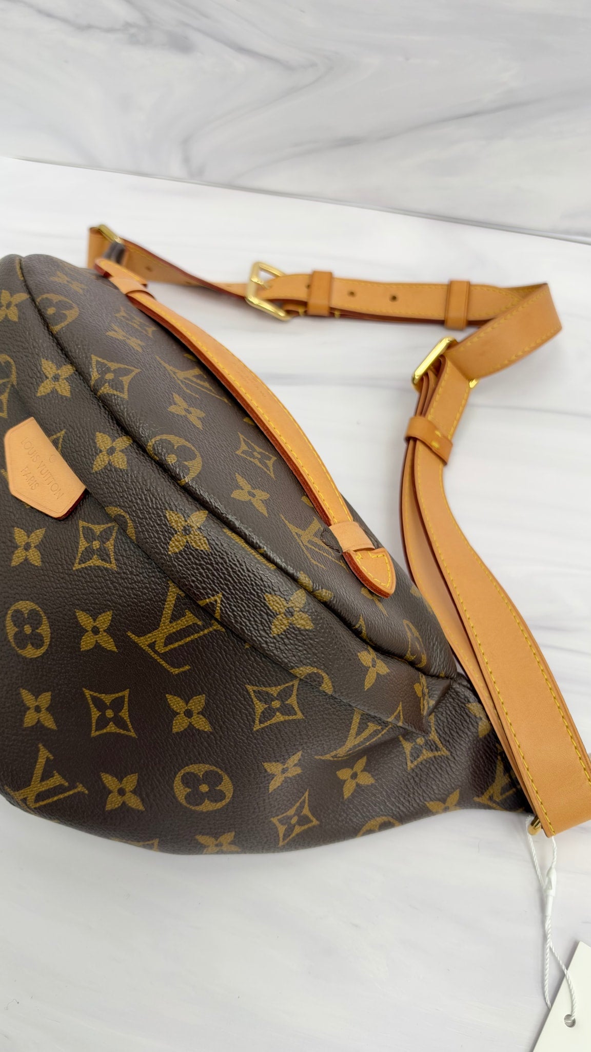 Louis Vuitton Monogram Bum Bag 
