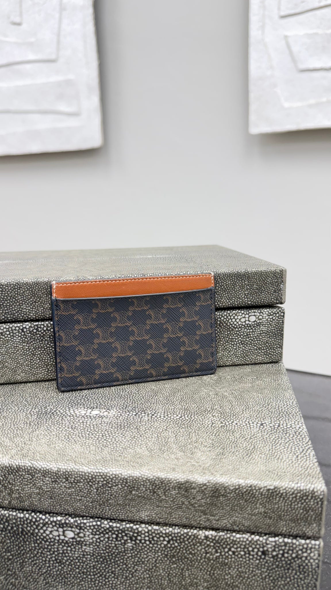 Celine Brown Triomphe Canvas Card Case 
