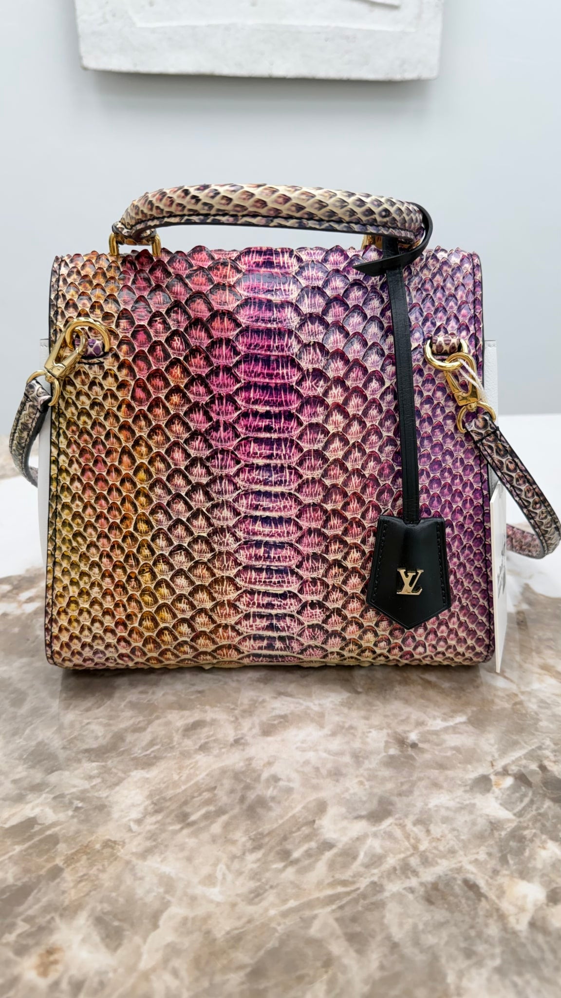 Louis Vuitton White & Black Leather with Rainbow Python Arch 2way Bag