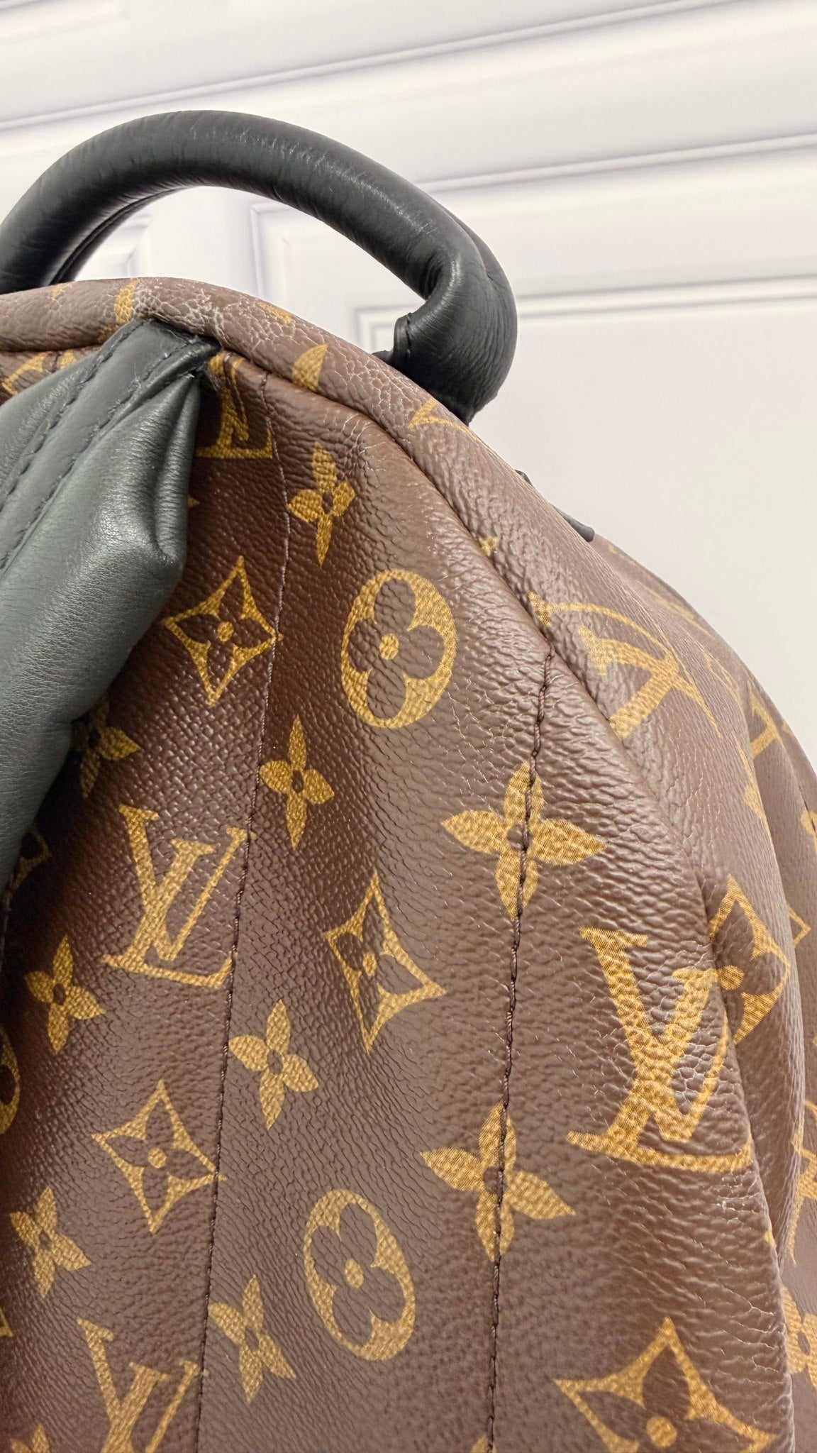 Louis Vuitton Monogram Palm Springs MM Backpack 