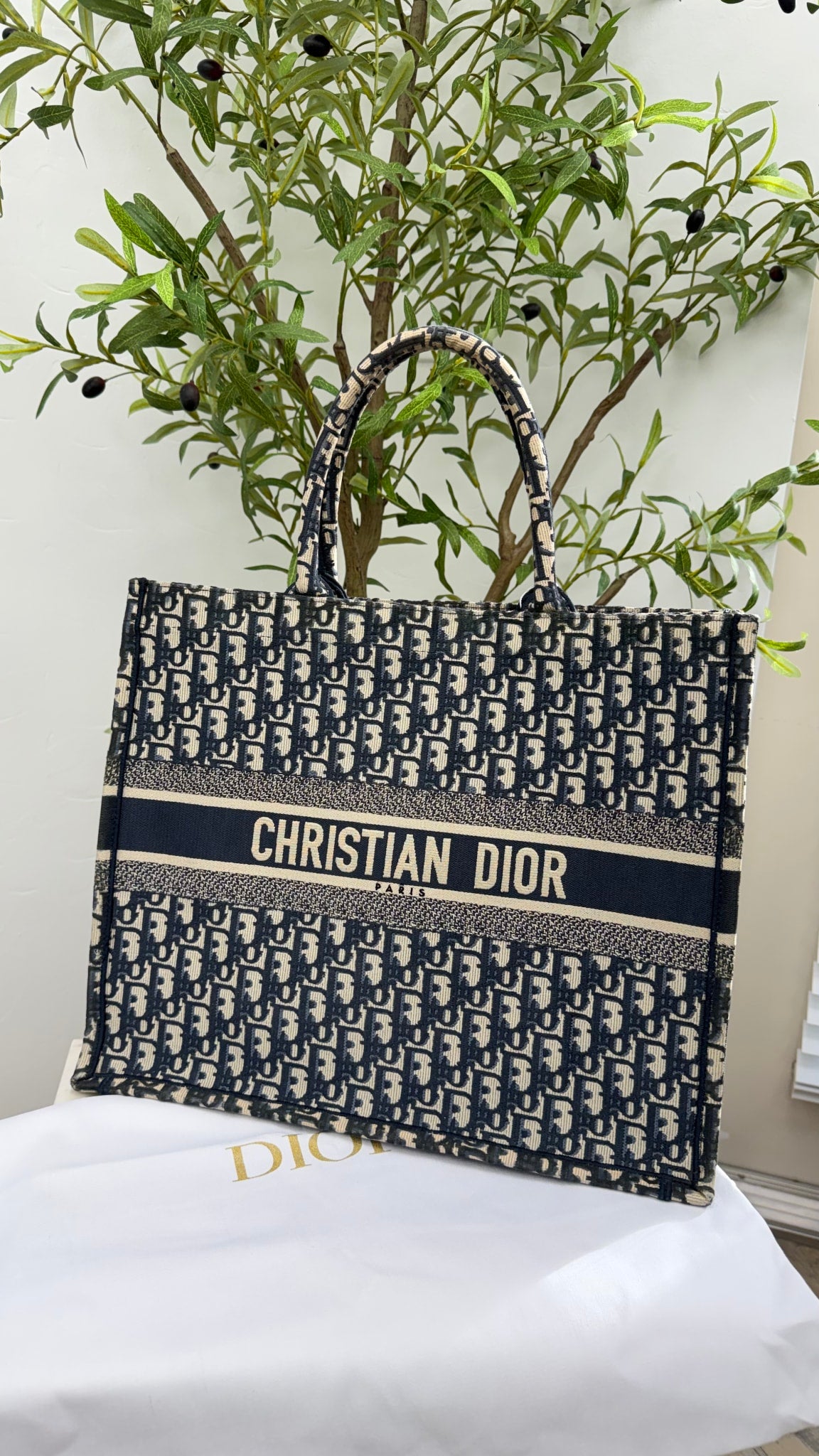 Christian Dior Navy Blue Oblique Embroidery Large Book Tote Bag 