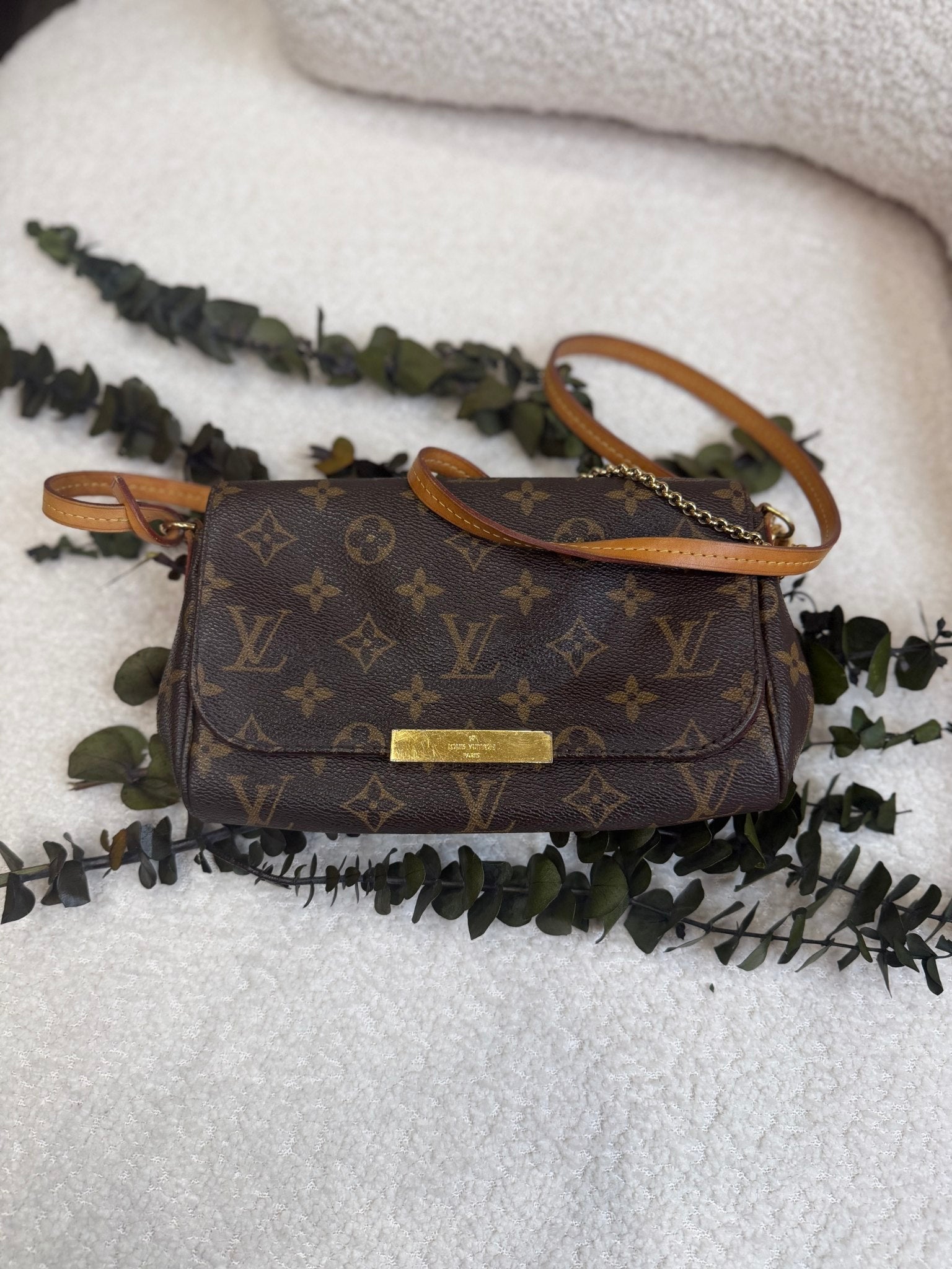 Louis Vuitton Monogram Favorite PM Bag
