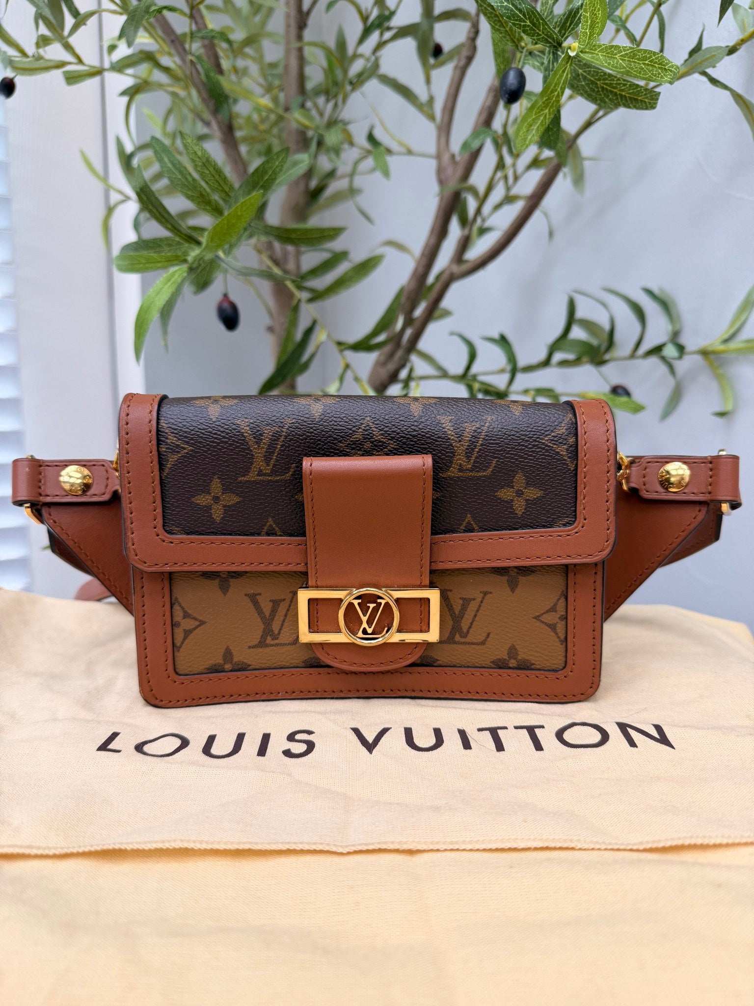 Louis Vuitton Reverse Monogram Mini Dauphine Bum Bag