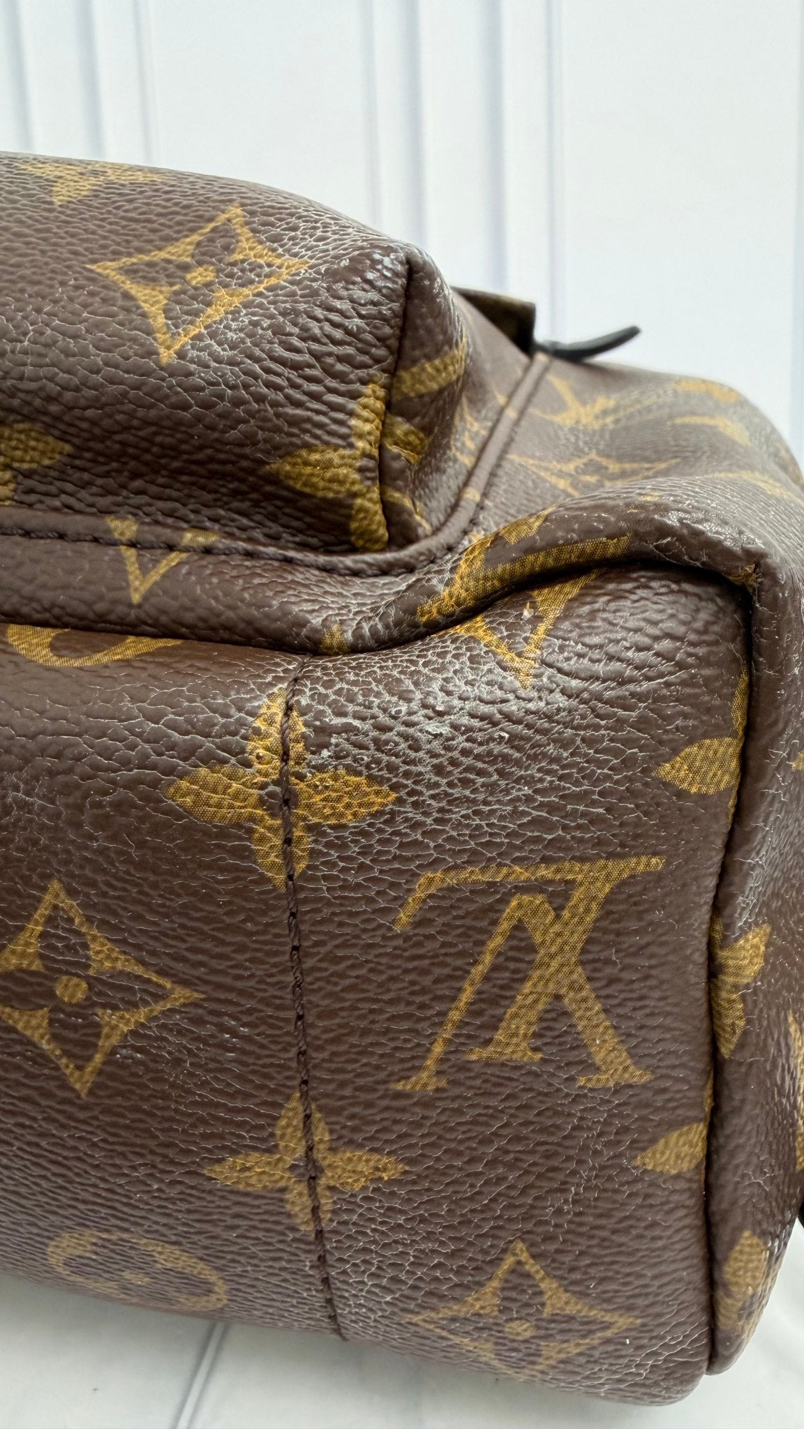 Louis Vuitton Monogram Palm Springs MM Backpack 