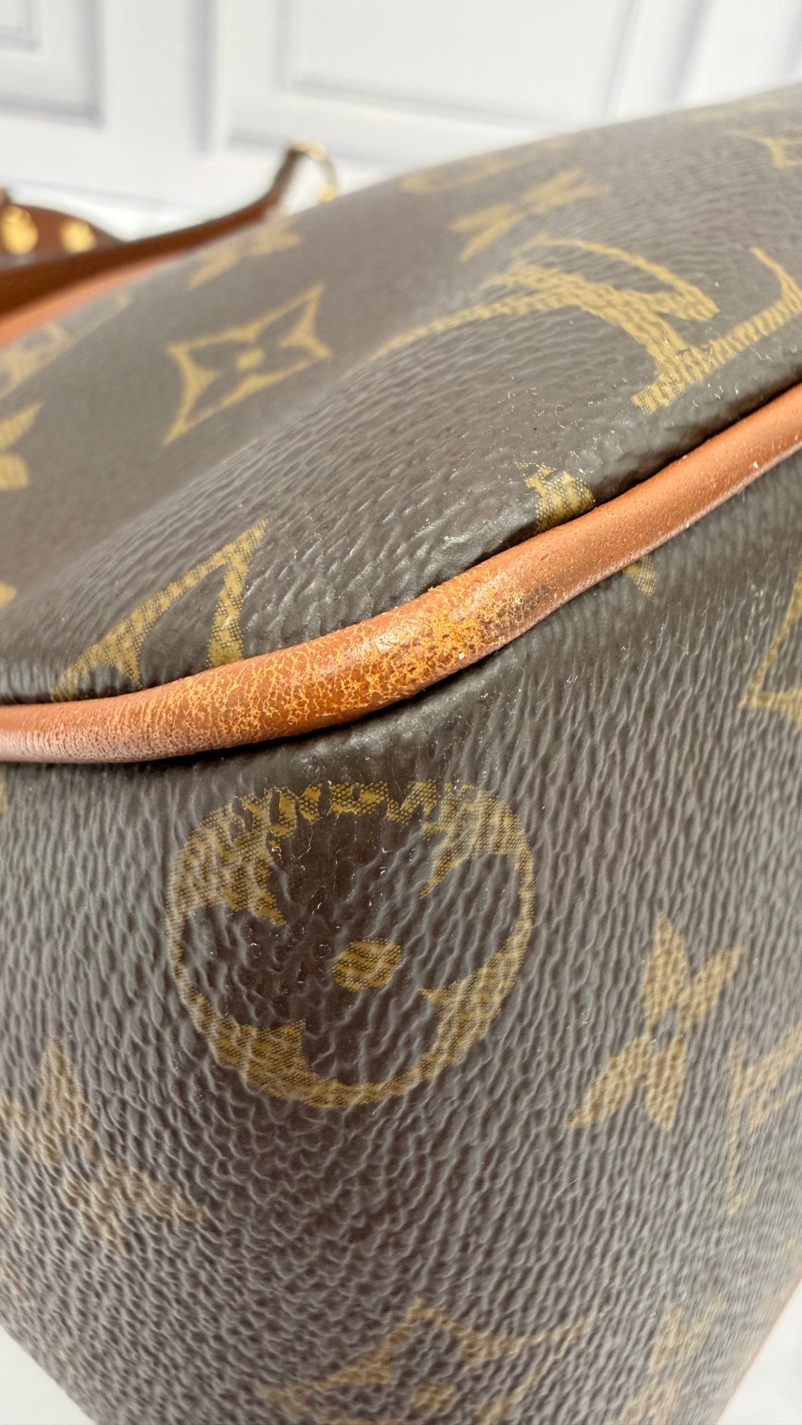 Louis Vuitton Reverse Monogram Dauphine Hobo PM Handbag