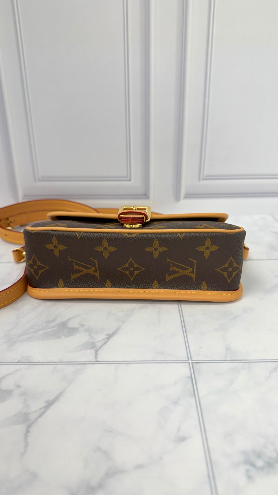 BRAND NEW - Louis Vuitton Monogram Nano Diane Crossbody Bag 