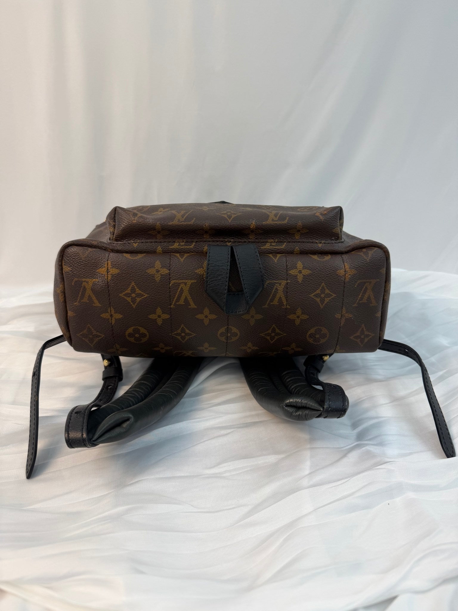 Louis Vuitton Monogram Palm Spring Backpack MM