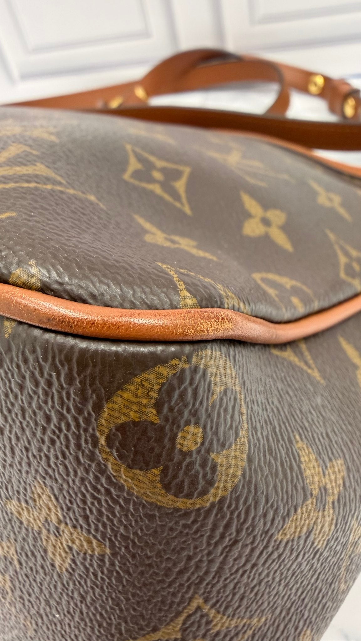 Louis Vuitton Reverse Monogram Dauphine Hobo PM Handbag