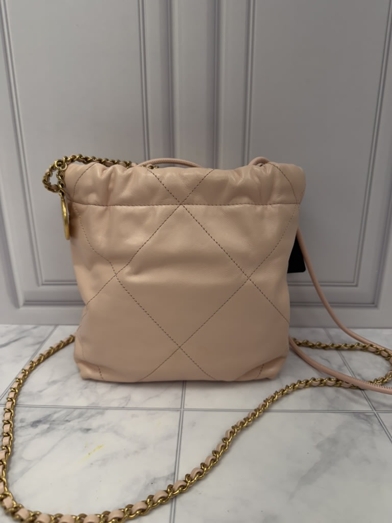 Chanel Pale Pink Quilted Leather 22 Hobo Crossbody