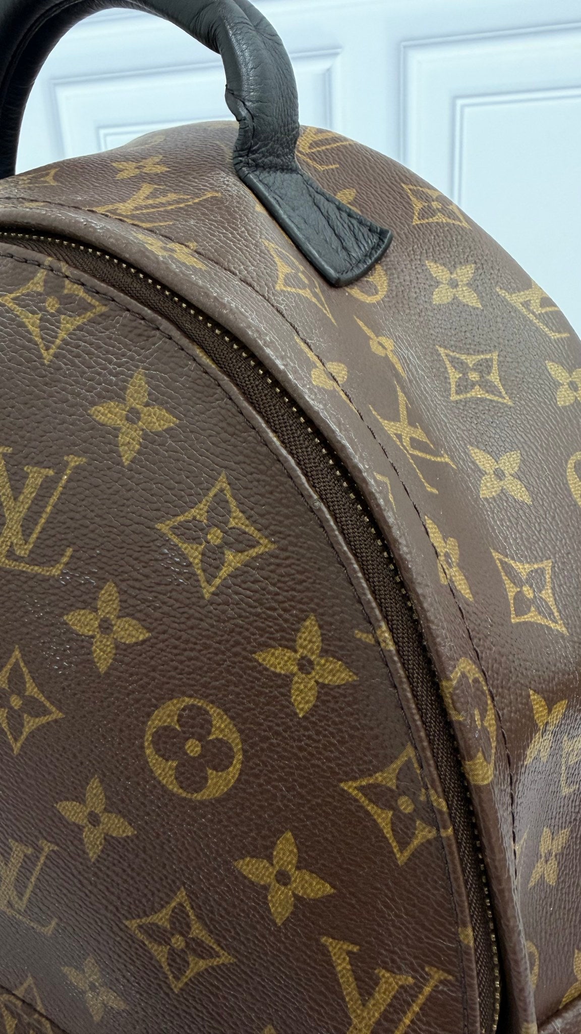 Louis Vuitton Monogram Palm Springs MM Backpack 