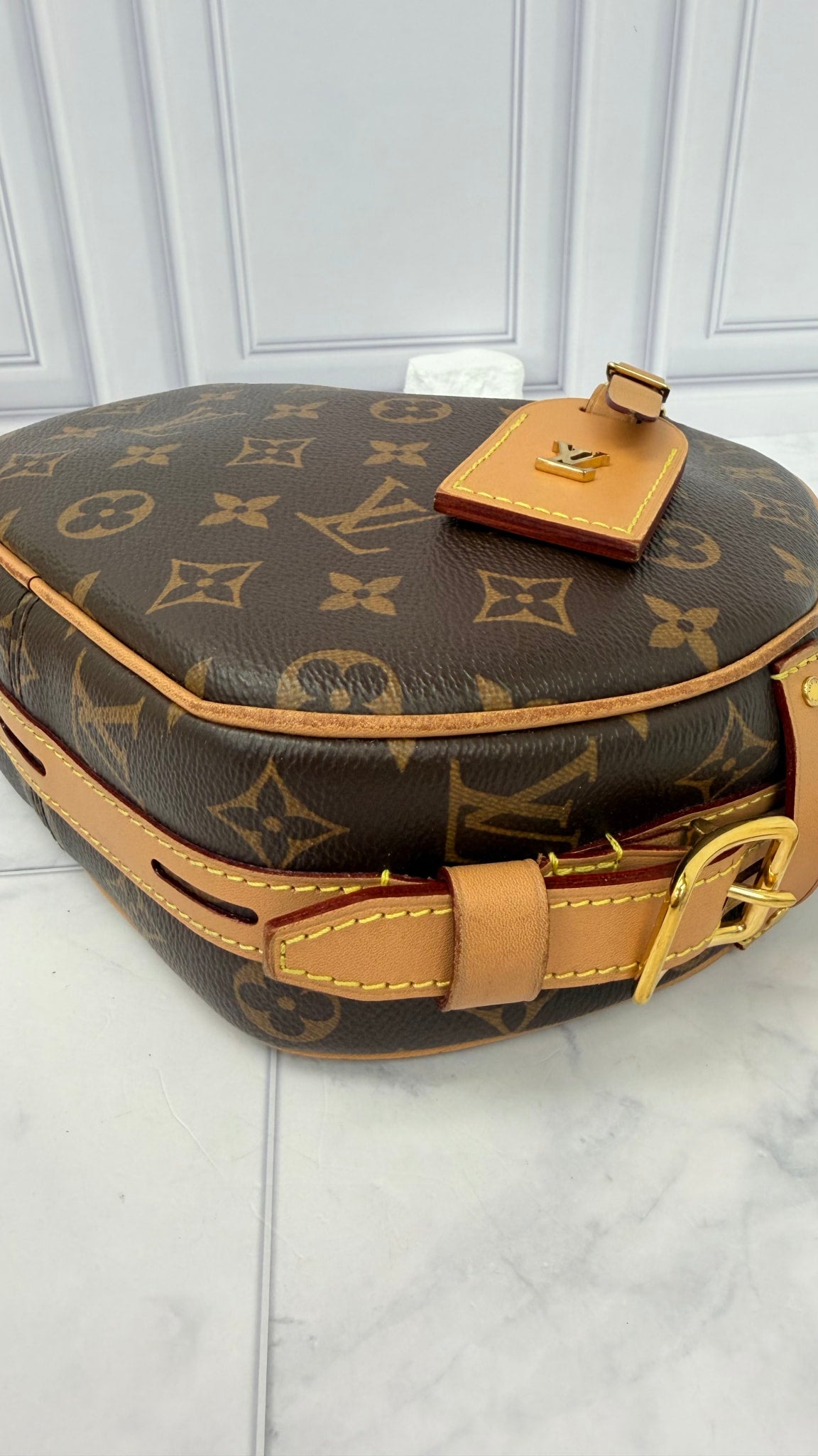 Louis Vuitton Monogram Boite Chapeau Souple MM Crossbody Bag 