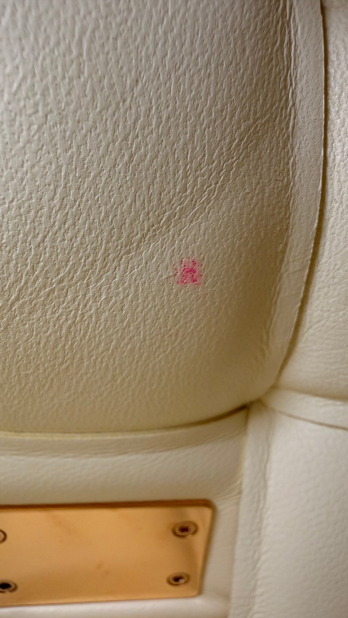 Bottega Veneta Washed Zest Medium Padded Cassette Bag 