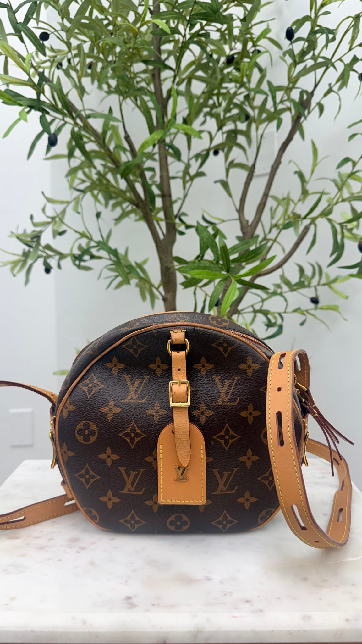 Louis Vuitton Monogram Boite Chapeau Souple MM Crossbody Bag 
