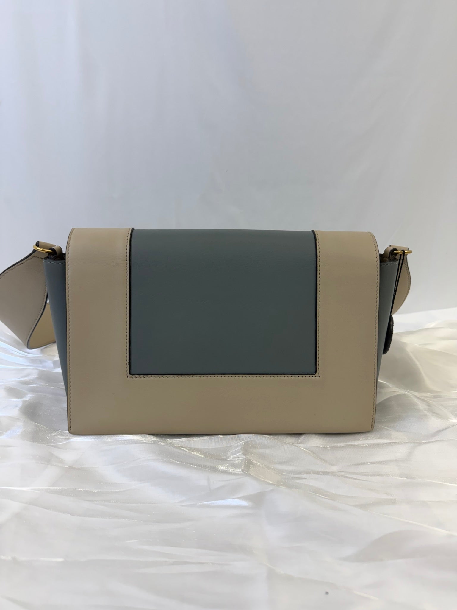 Celine Beige And Gray Leather Frame Shoulder Bag