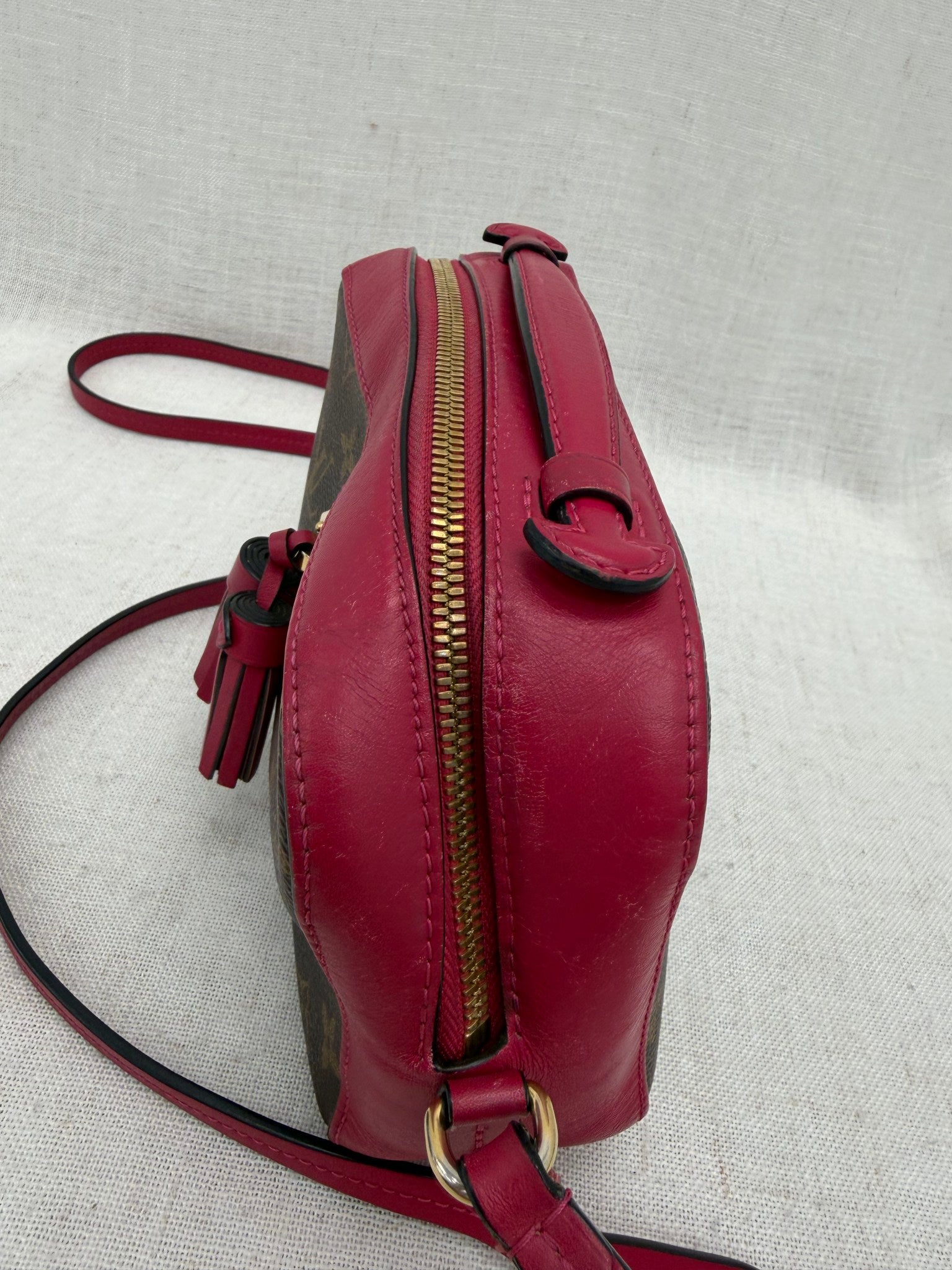 Louis Vuitton Monogram & Fuchsia Leather Santogne Crossbody Bag