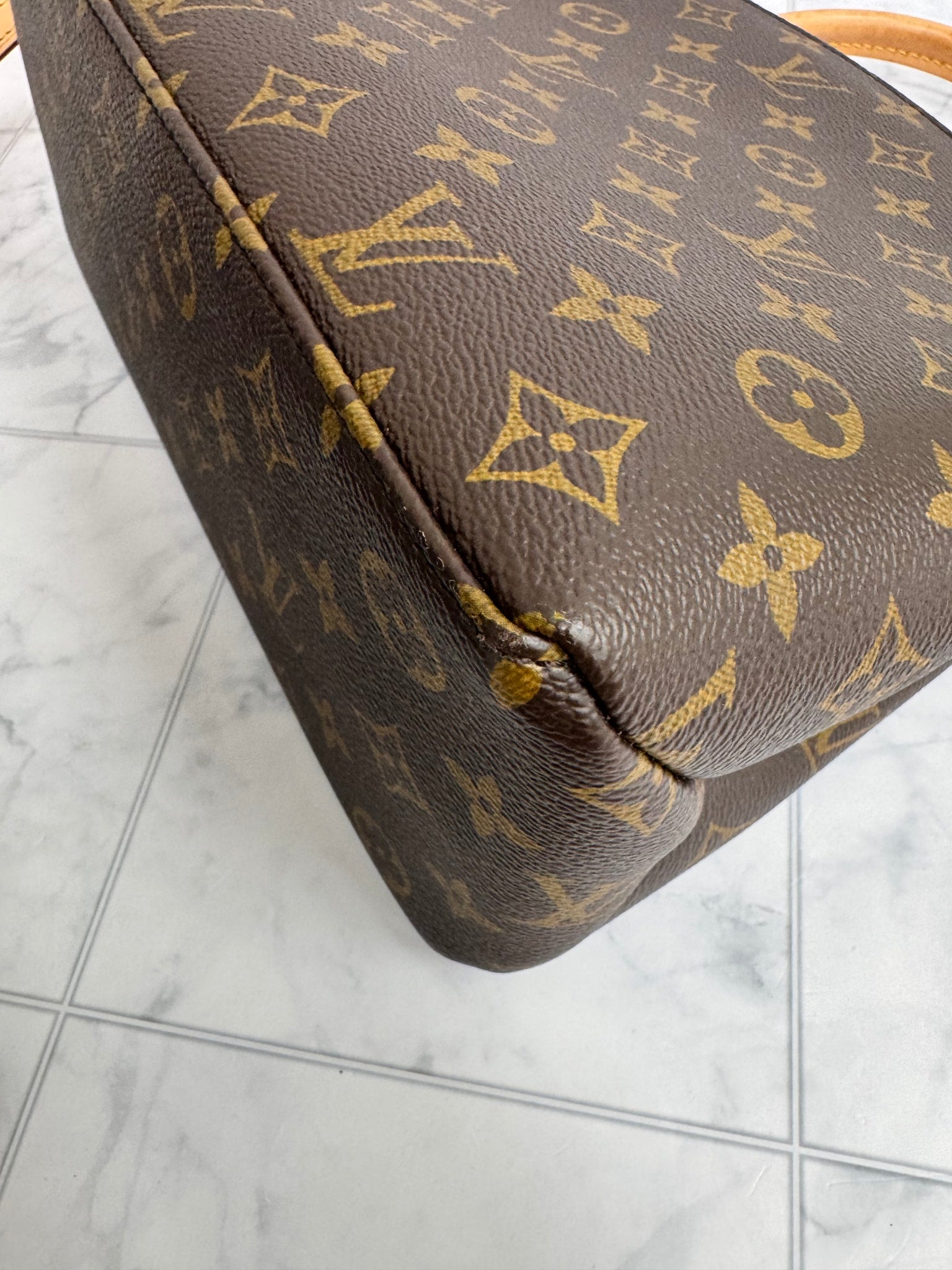 Louis Vuitton Monogram Petit Palais 2Way Bag