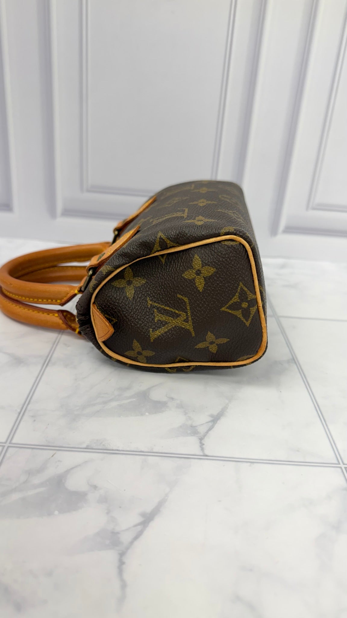 Louis Vuitton Monogram Nano Speedy Handbag 