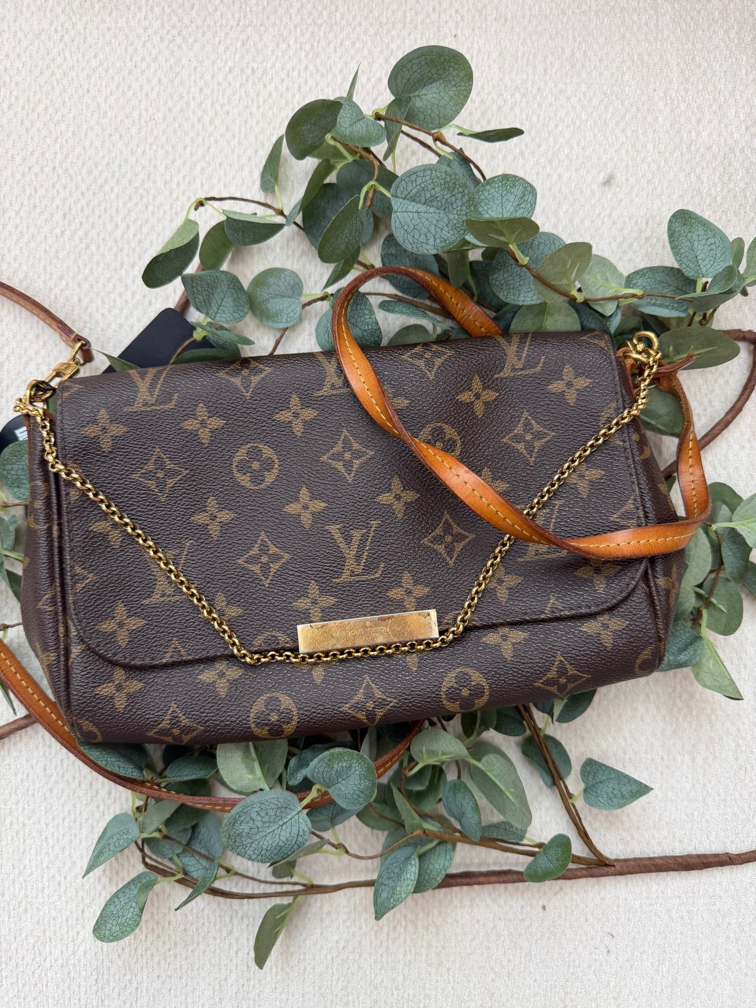 Louis Vuitton Monogram  Favorite MM Shoulder Bag 