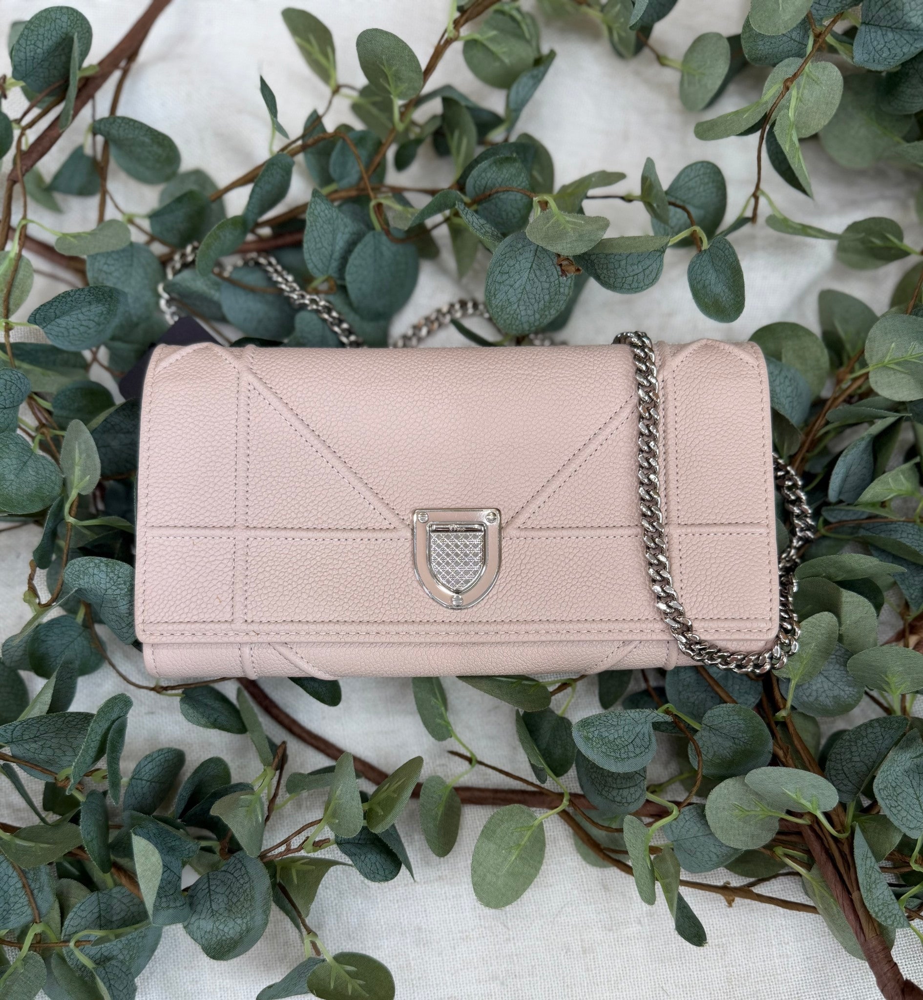 Christian Dior Light Pink Leather Diorama Wallet On Chain 