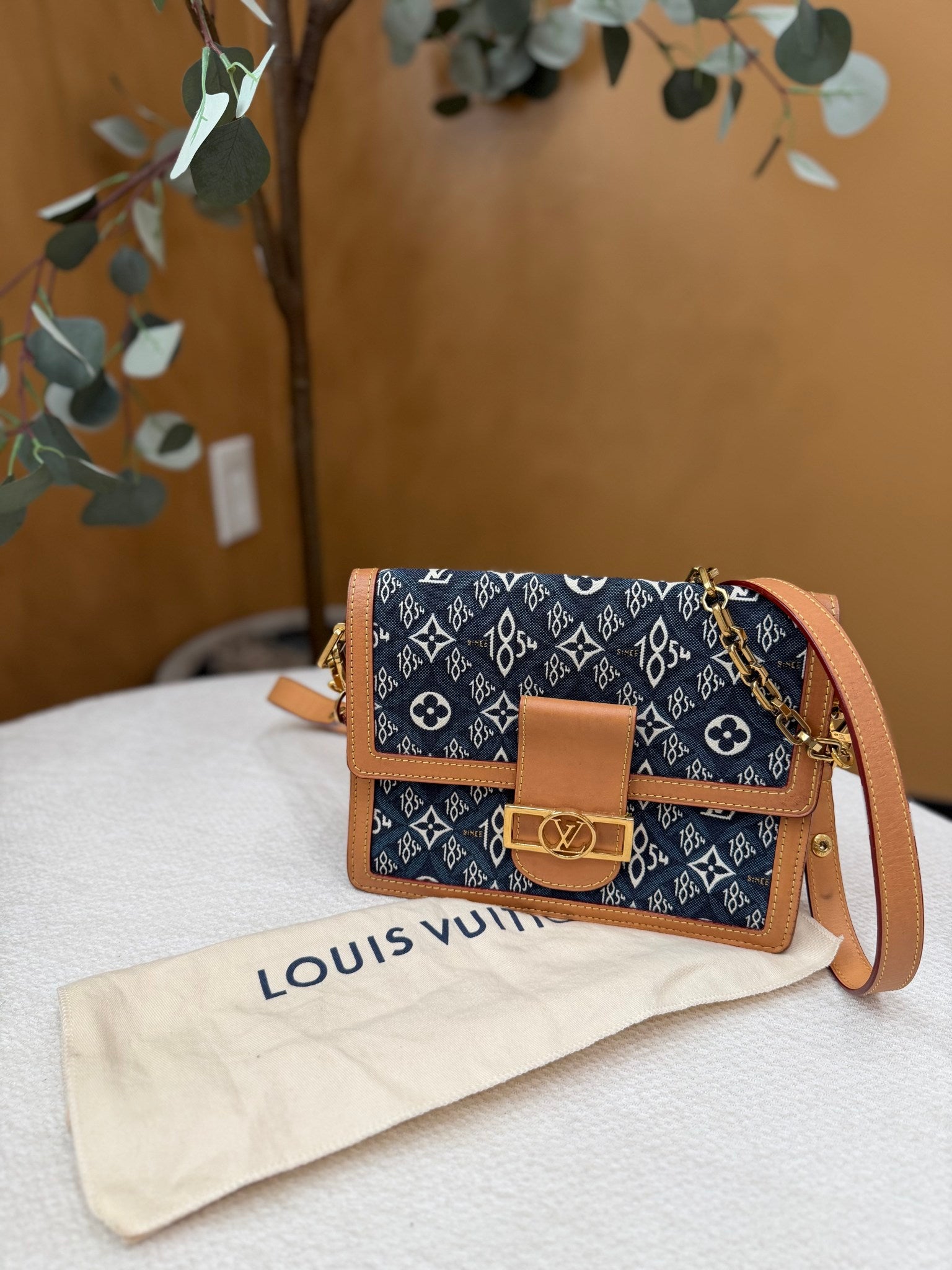 Louis Vuitton Blue Canvas Monogram Dauphine MM Bag 