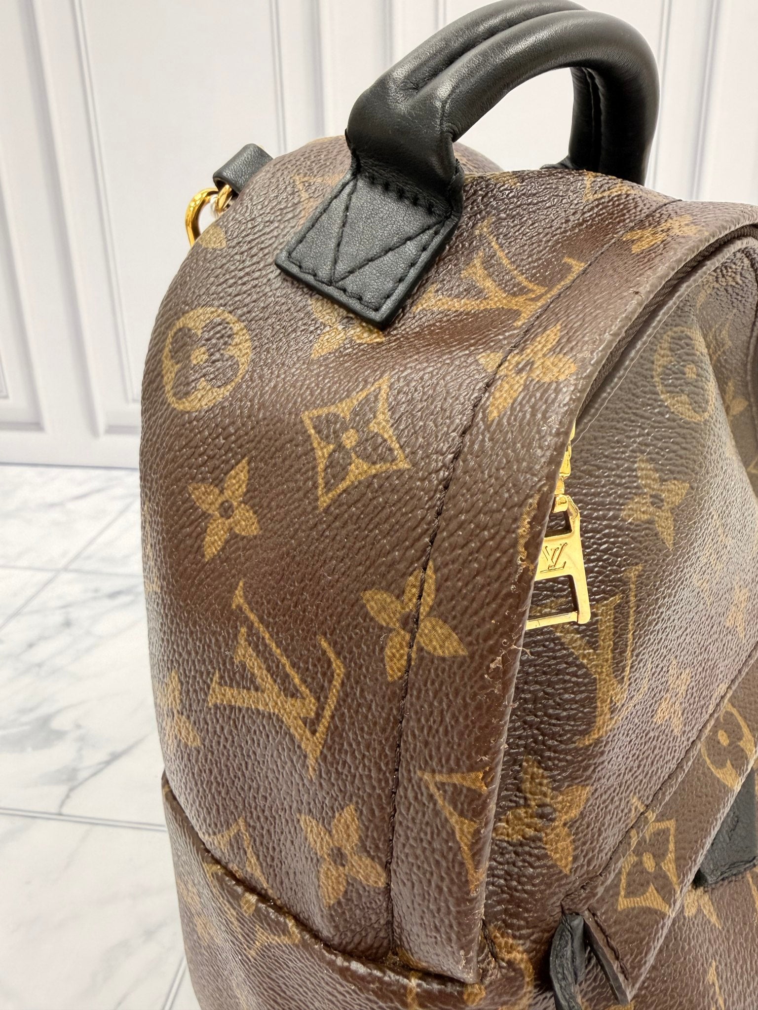 Louis Vuitton Monogram Mini Palm Springs Backpack