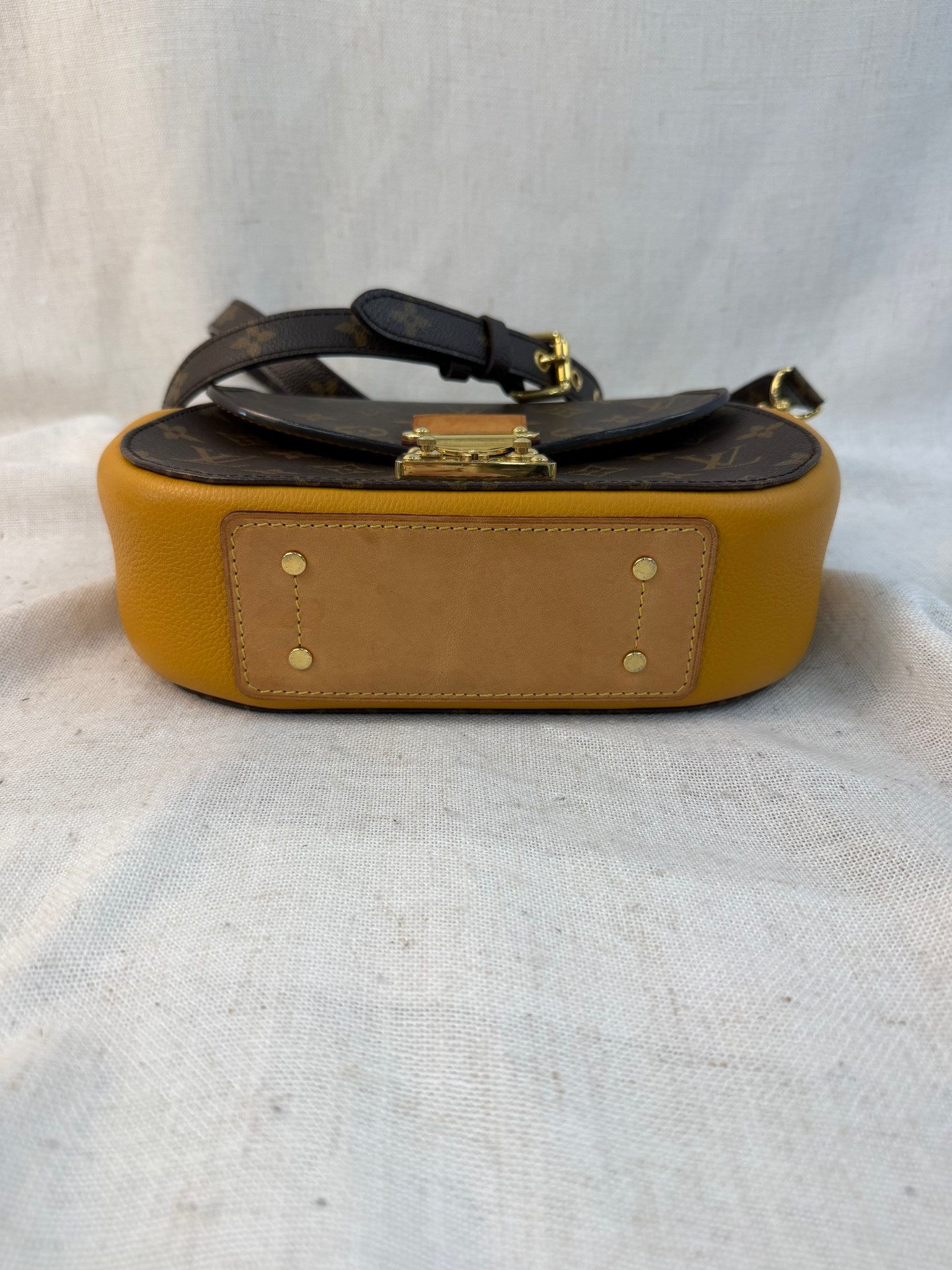 Louis Vuitton Monogram Safron Eden PM Bag