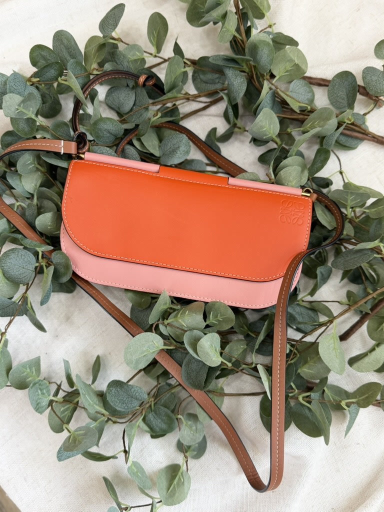 Loewe Orange & Pink Leather Gate Pochette Crossbody