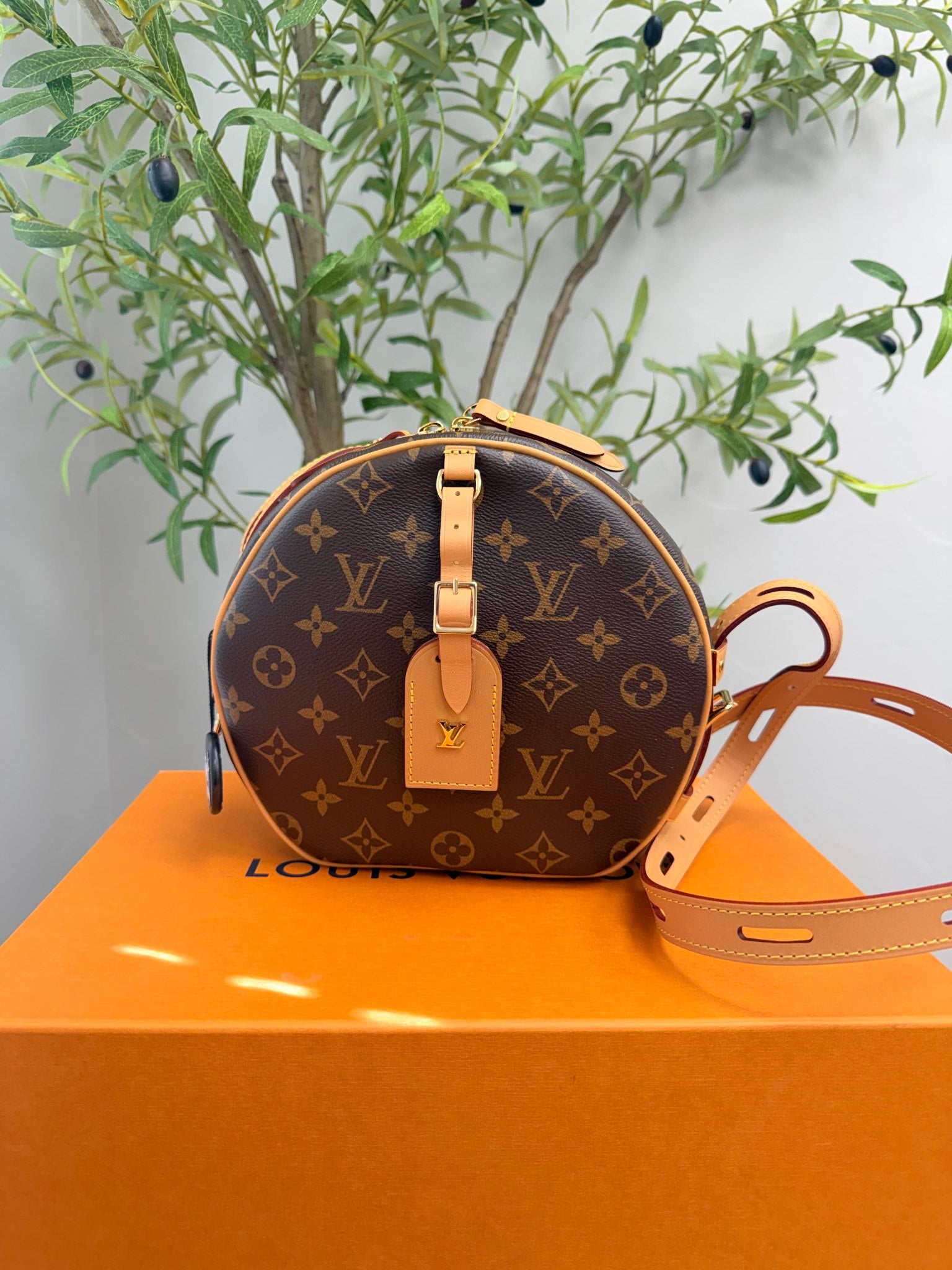BRAND NEW - Louis Vuitton Monogram Boite Chapeau Souple Bag 