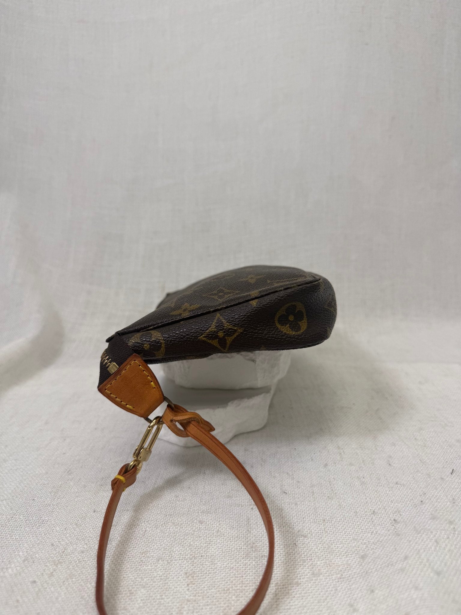 Louis Vuitton Monogram Pochette Accessories