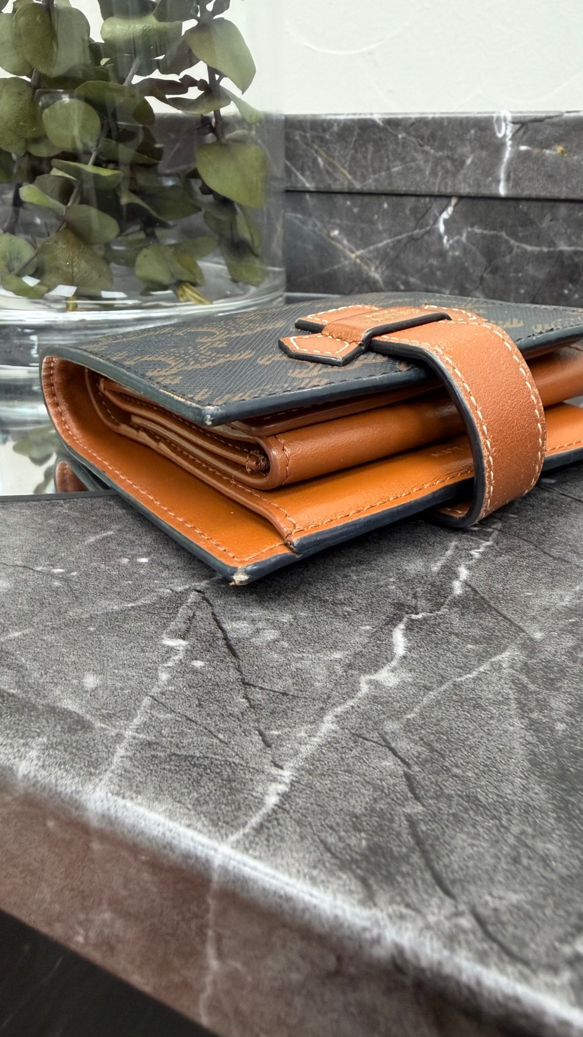 Celine Black & Brown Triomphe Canvas Small Strap Wallet