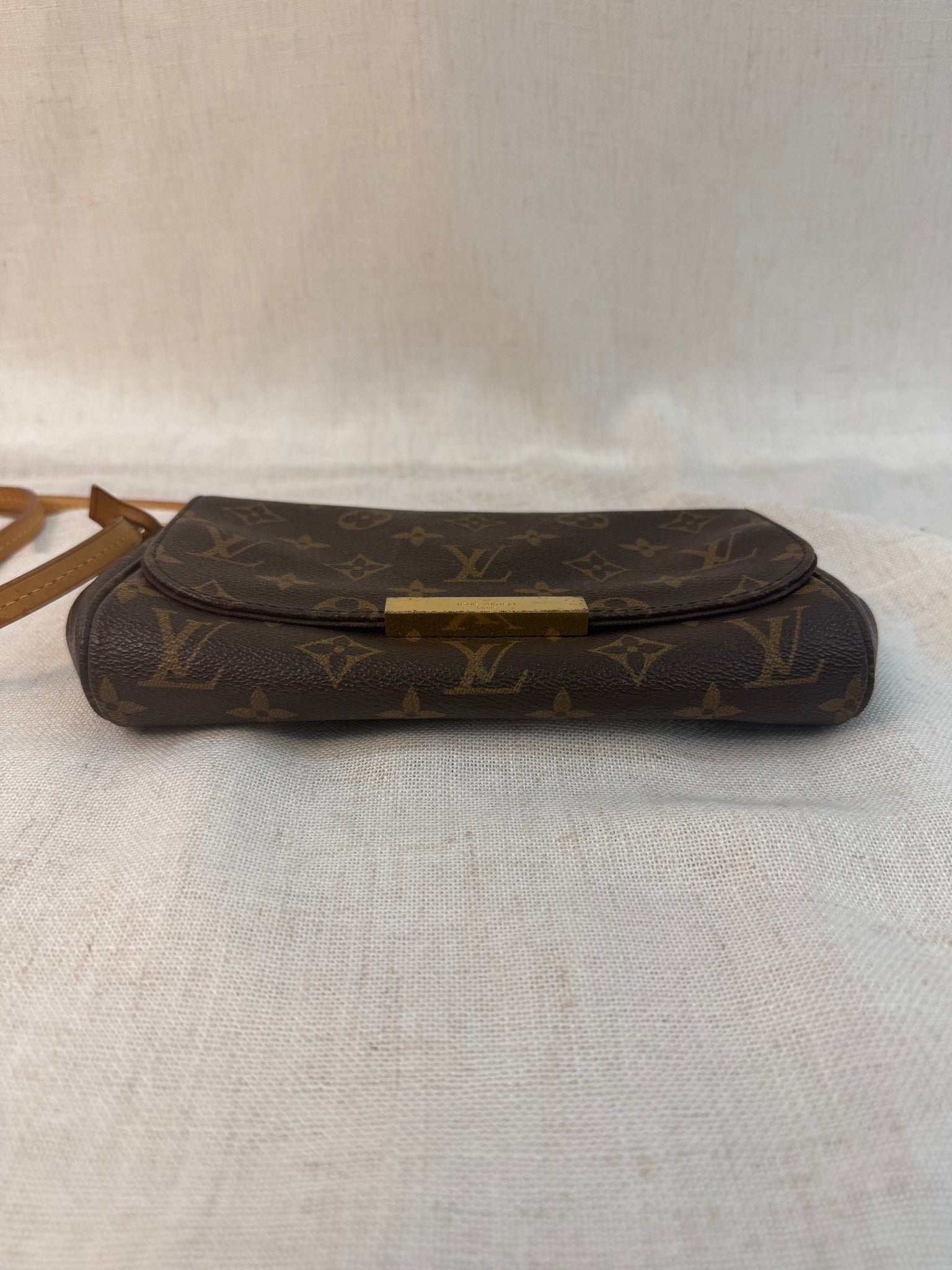 Louis Vuitton Monogram Favorite PM Bag