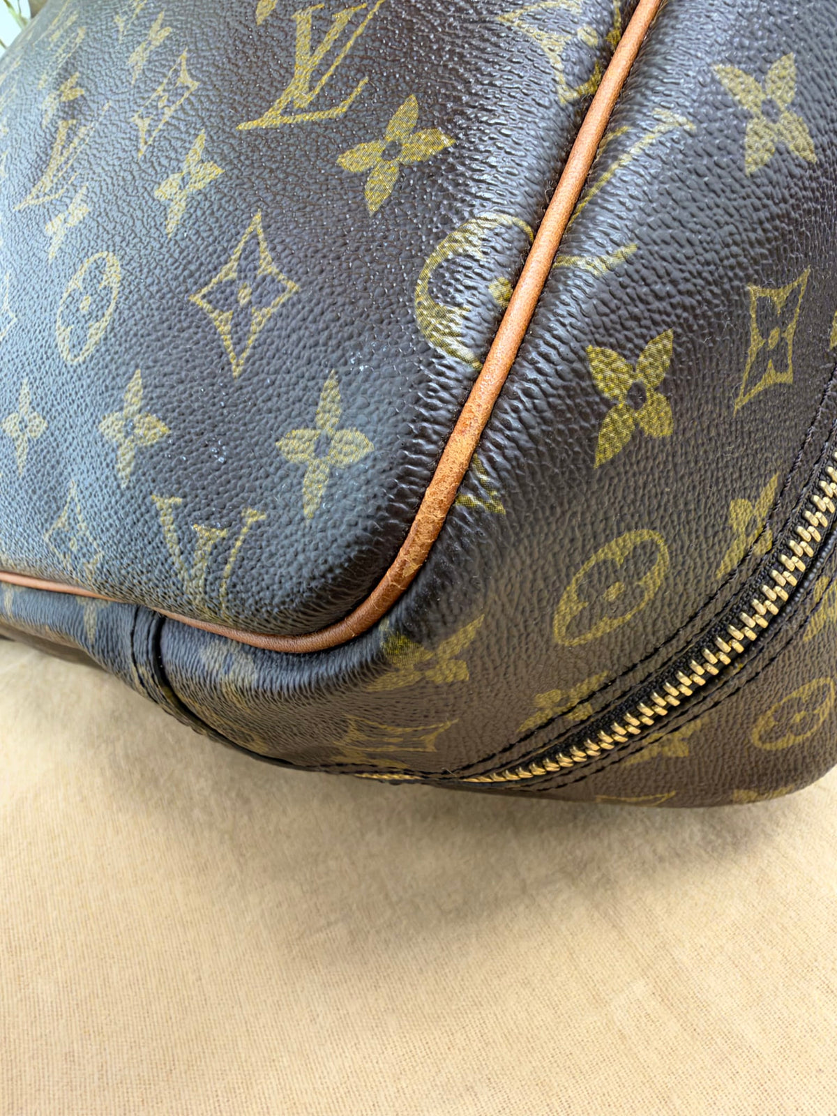 Louis Vuitton Monogram Alize Soft Suitcase