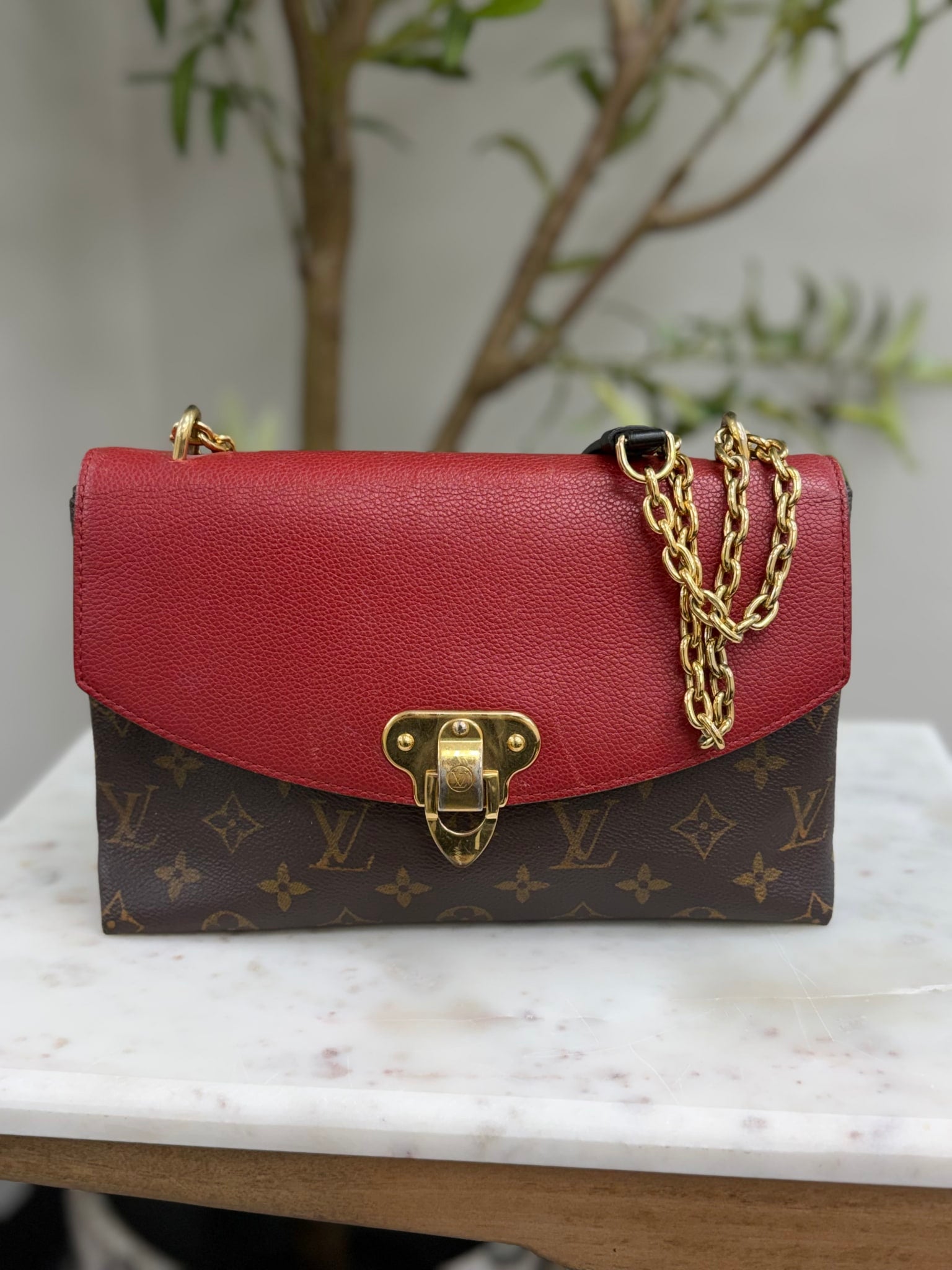 Louis Vuitton Monogram Saint Placide Shoulder Bag