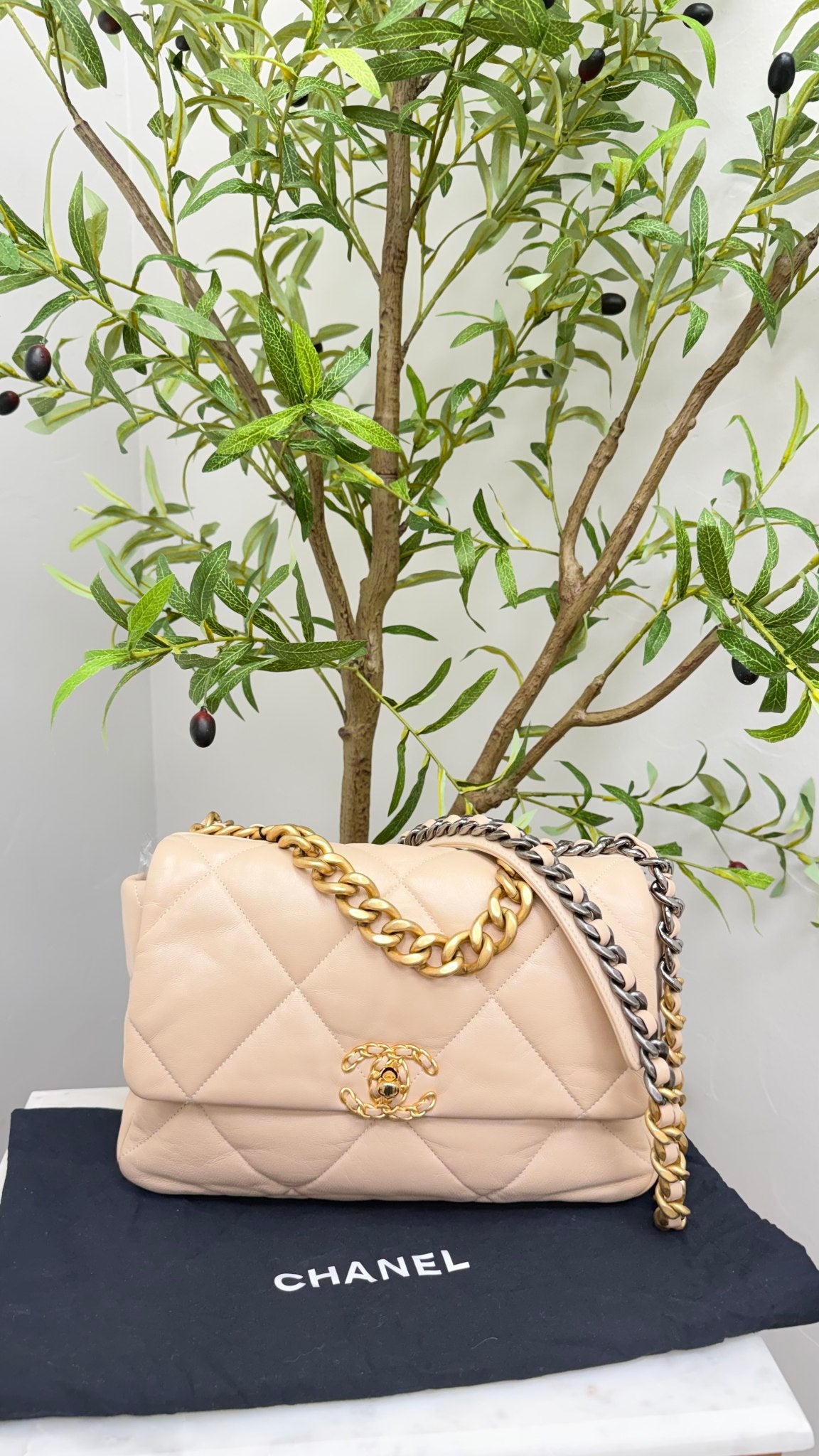 Chanel Beige Quilted Lambskin Leather Large 19 Flap Bag 