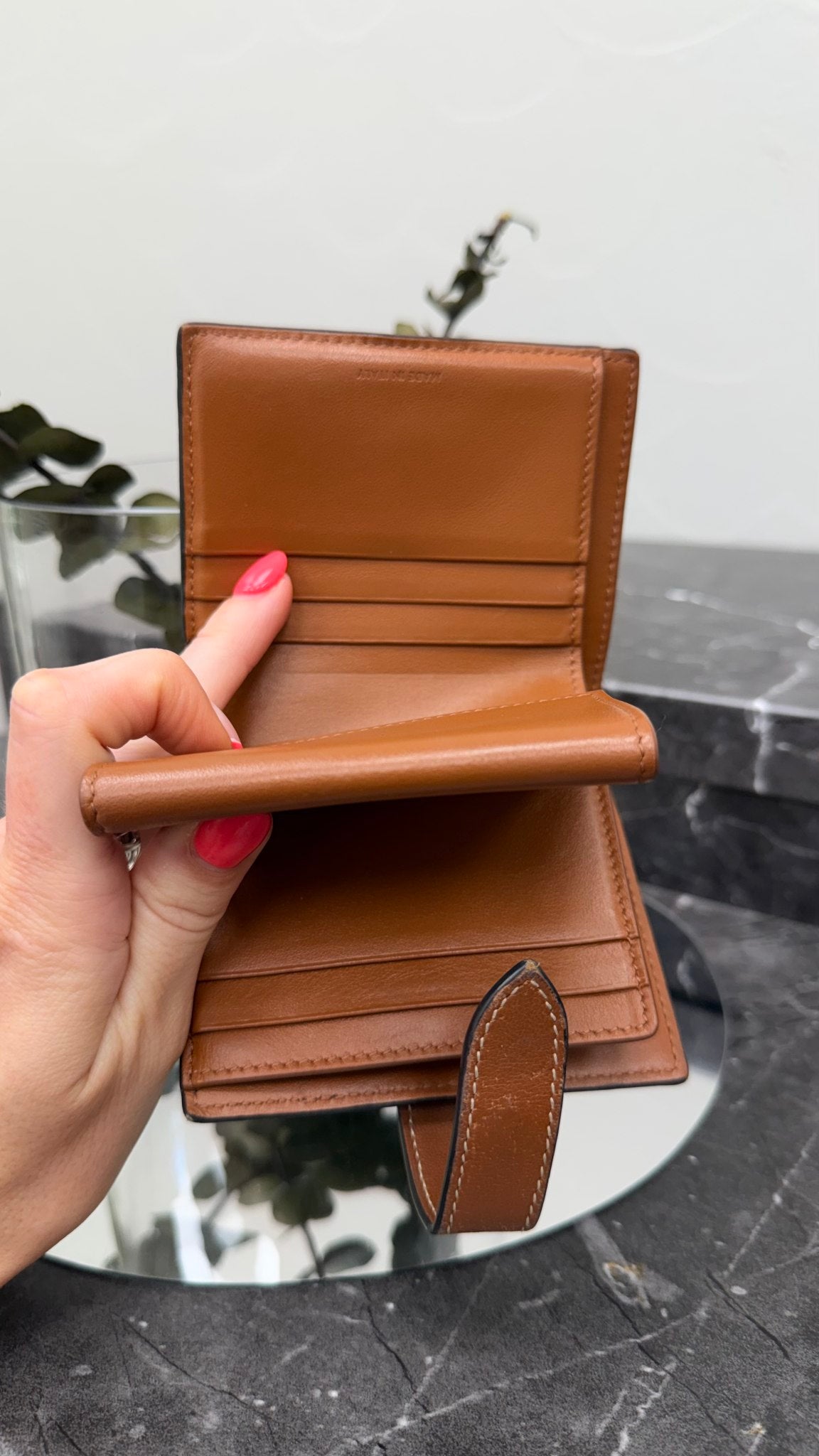 Celine Black & Brown Triomphe Canvas Small Strap Wallet