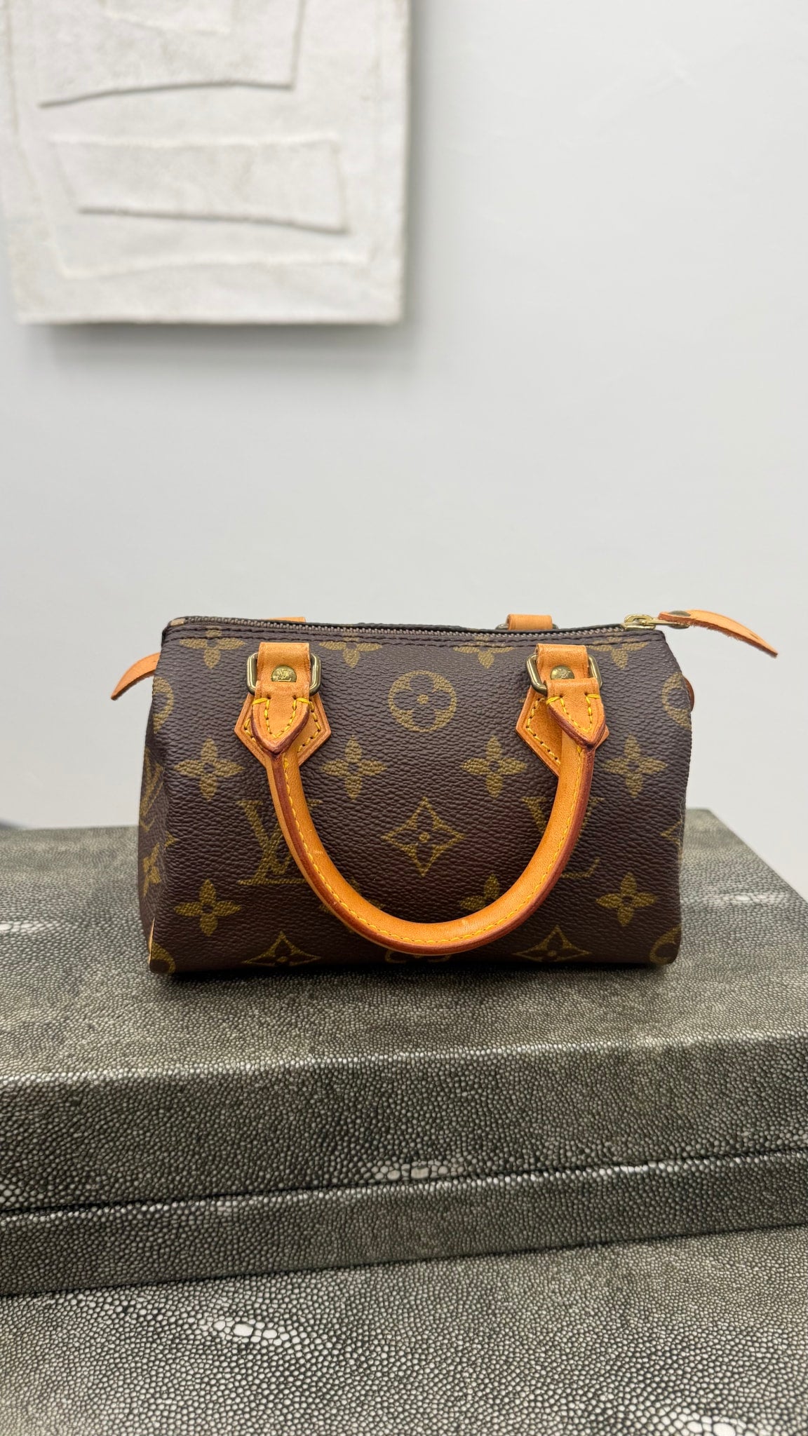 Louis Vuitton Monogram Nano Speedy Handbag 