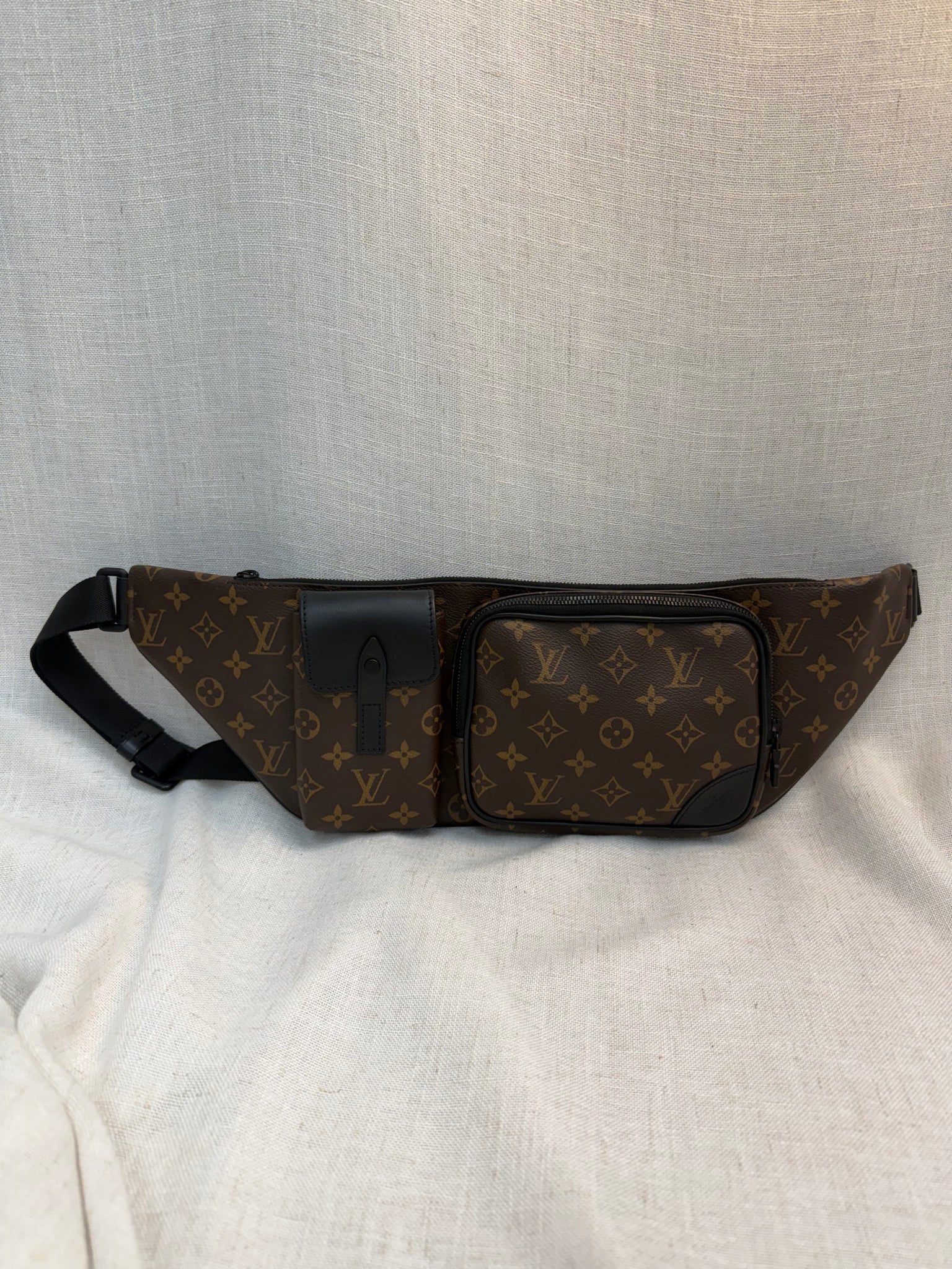 Louis Vuitton Monogram Macassar Christopher Bumbag