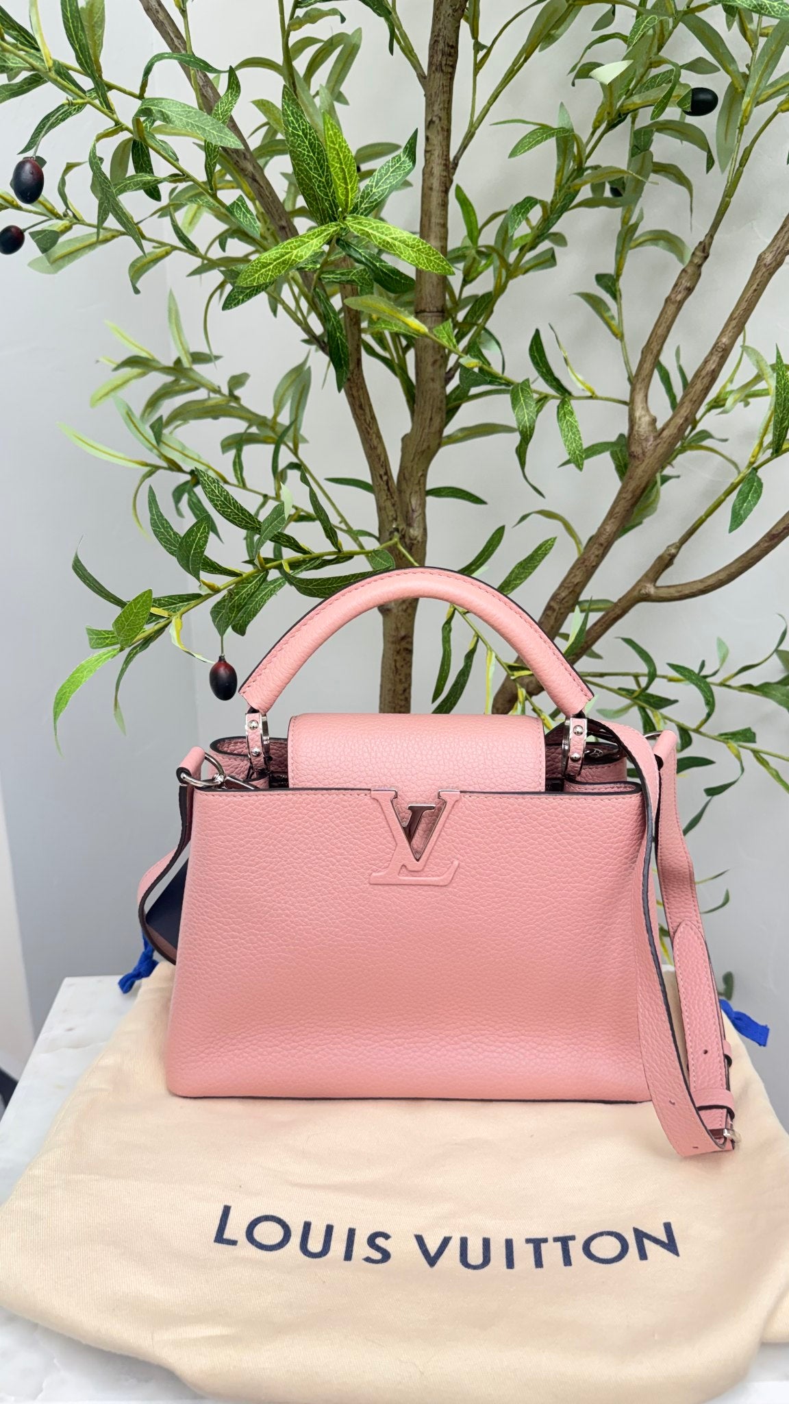 Louis Vuitton Magnolia Taurillion Leather Capucines BB Bag 