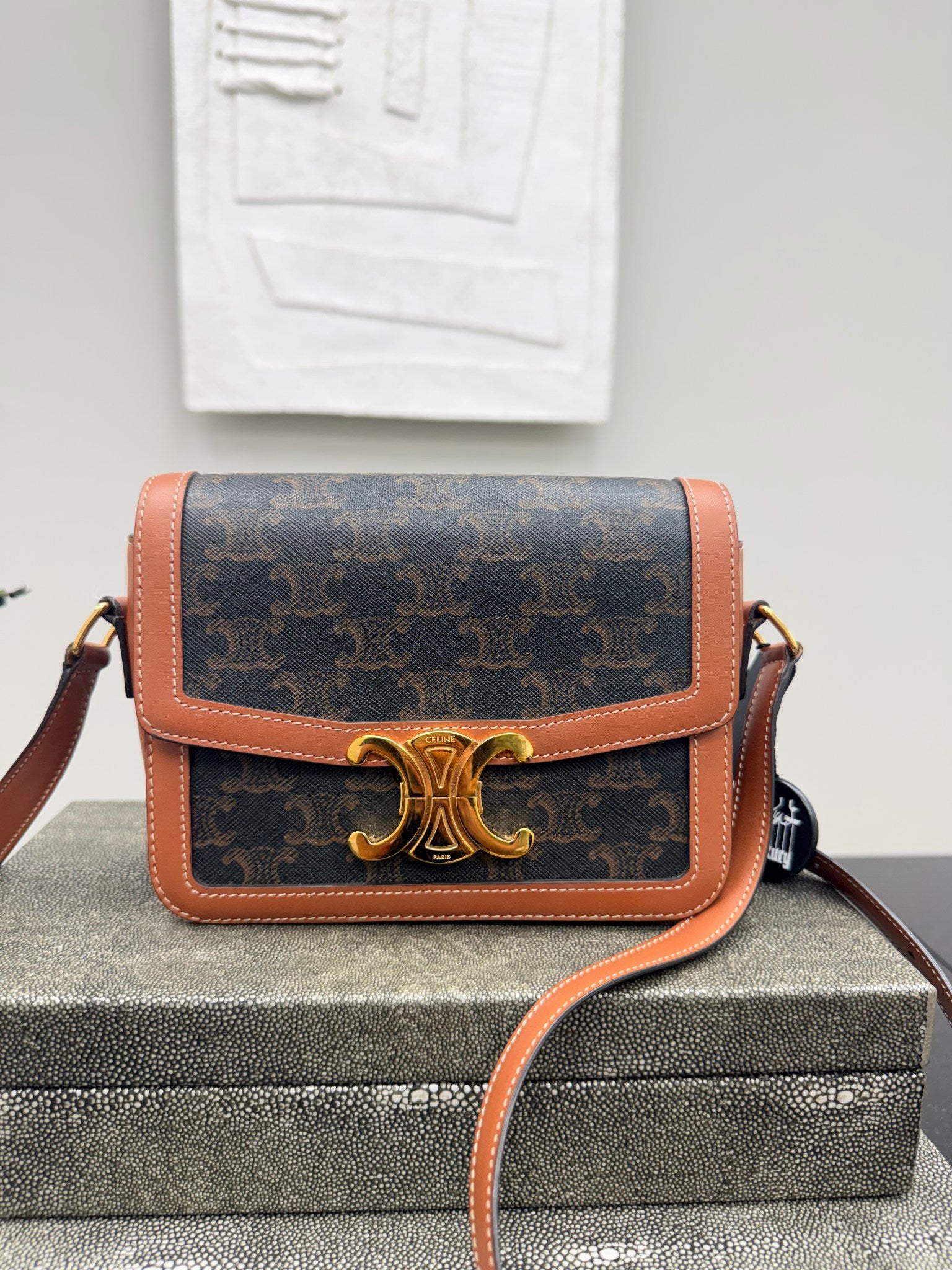 Celine Brown Leather And Canvas Triomphe Crossbody Bag 