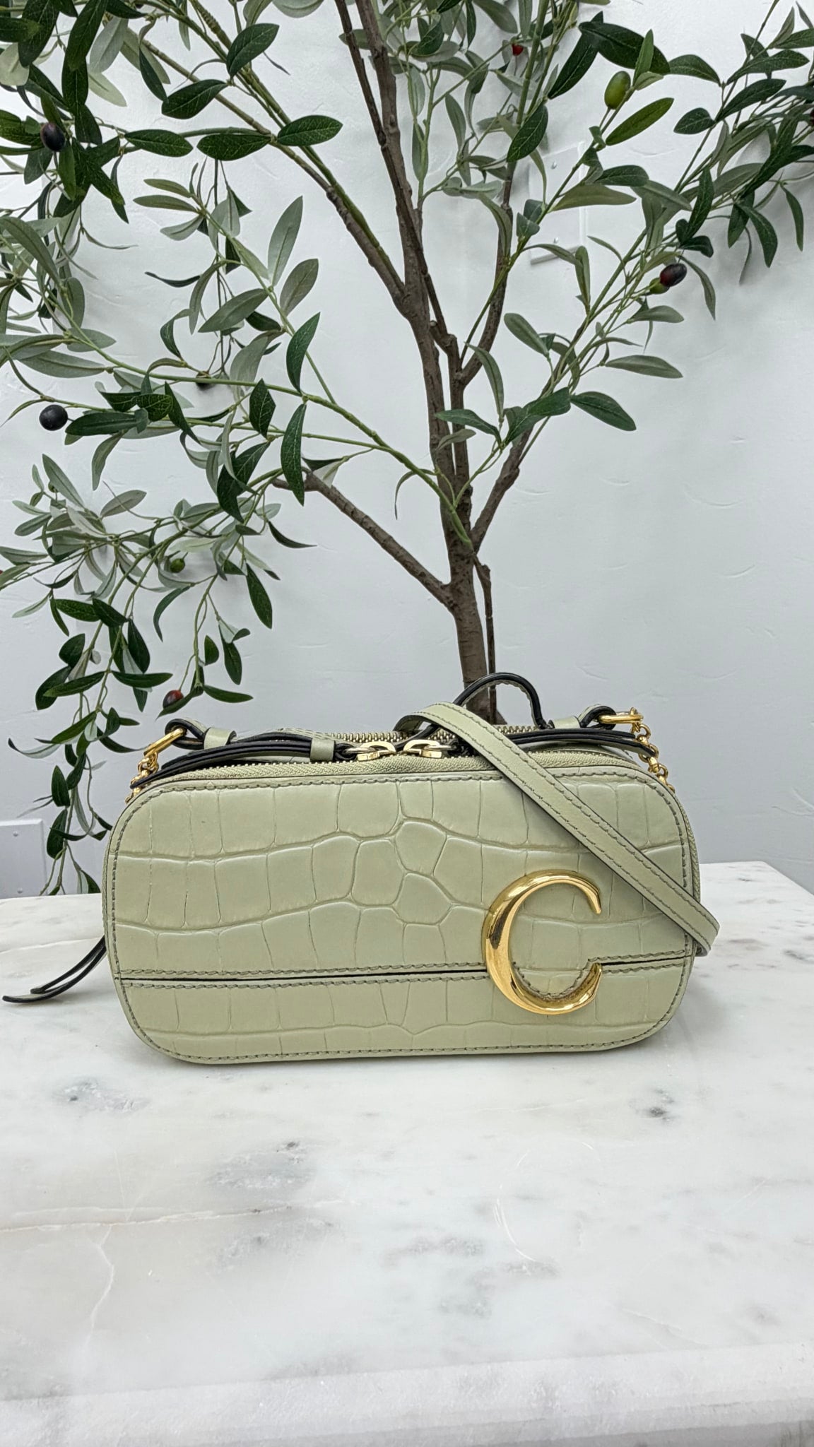 Chloe Green Croc Embossed Leather Vanity Handbag