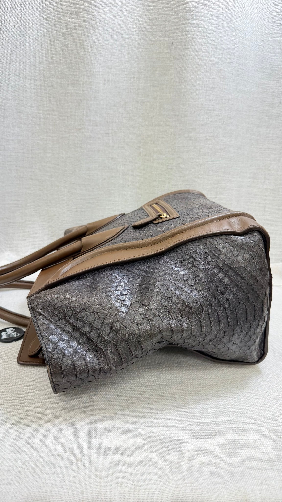Celine Brown Python Leather Mini Luggage Tote Bag 