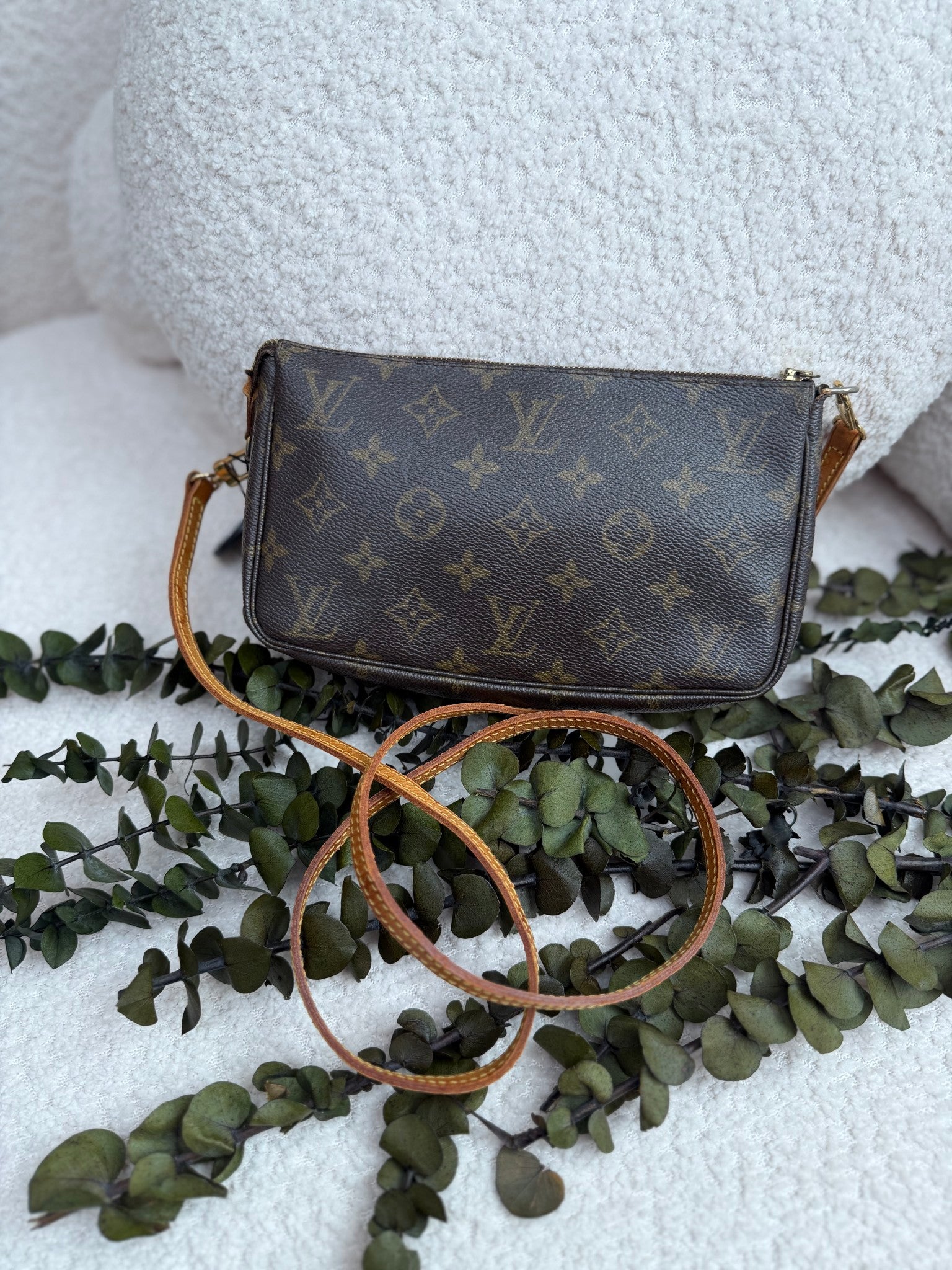 Louis Vuitton Monogram Pochette Bag