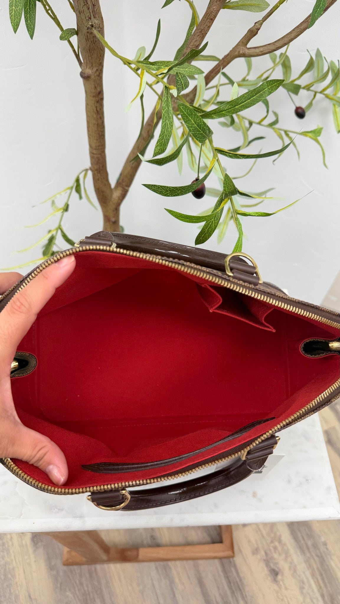 Louis Vuitton Damier Ebene Alma PM Handbag 