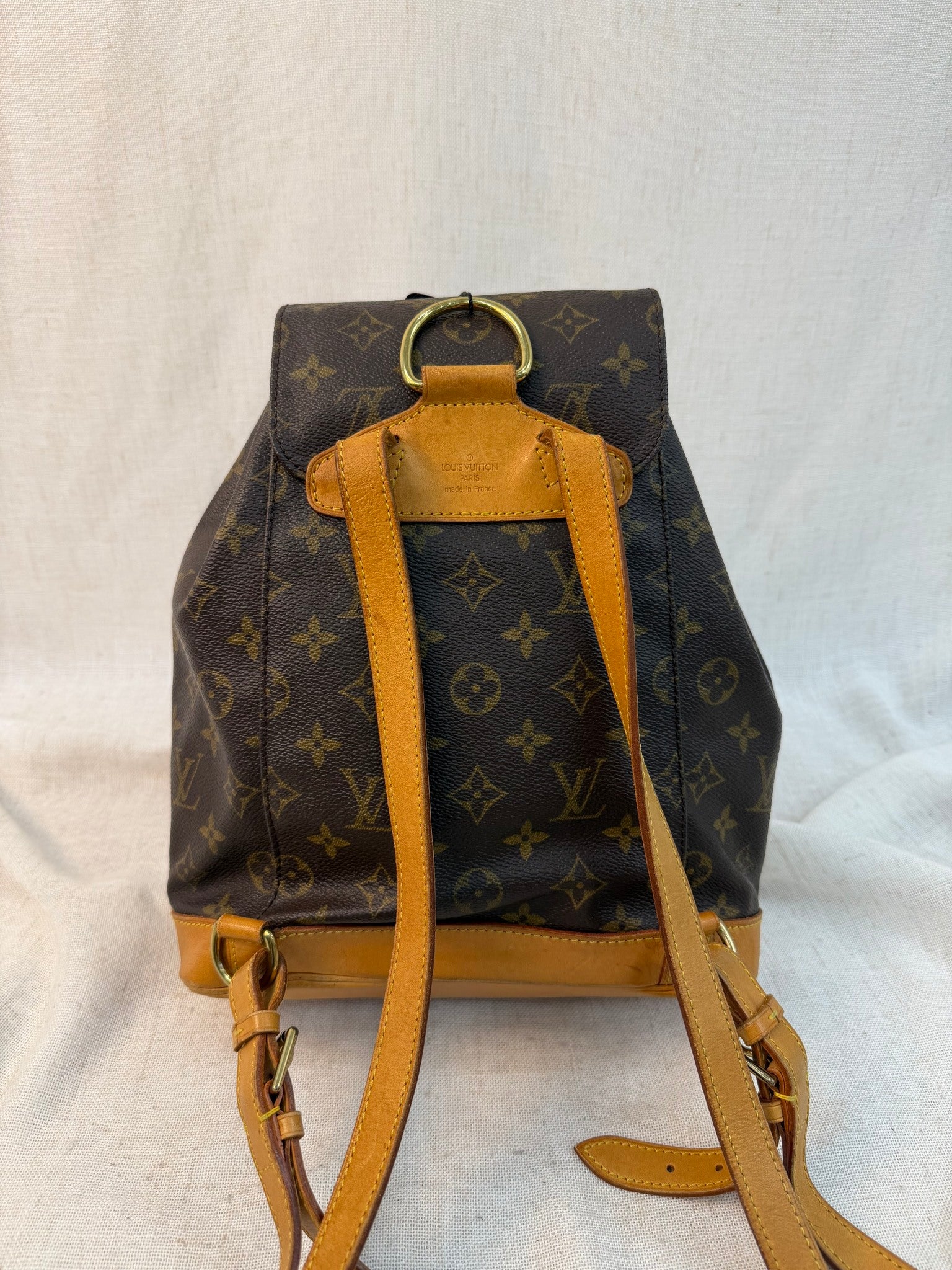 Louis Vuitton Monogram Montsouris MM Backpack