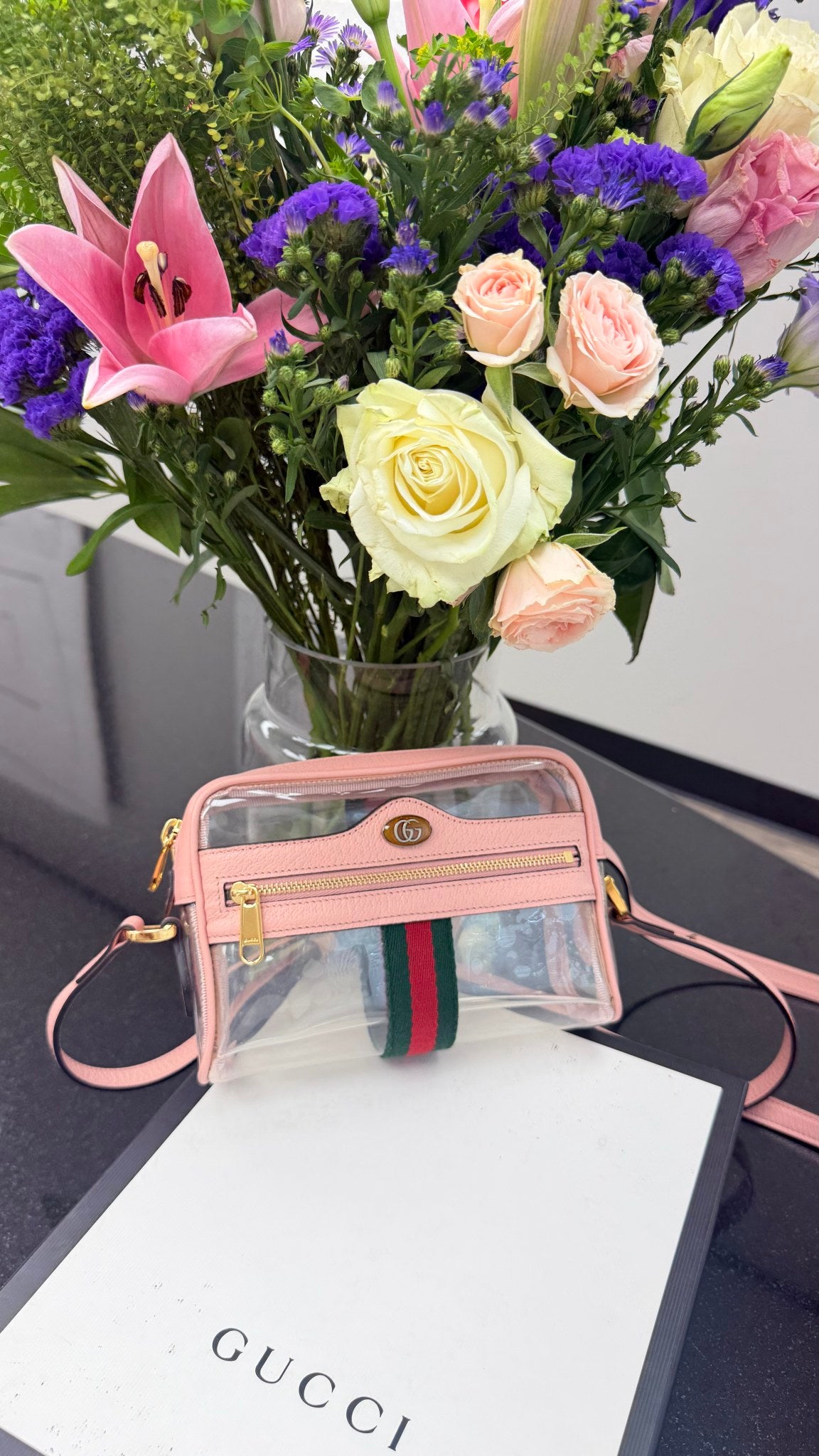 Gucci Clear Vinyl Ophidia Mini Crossbody Bag 