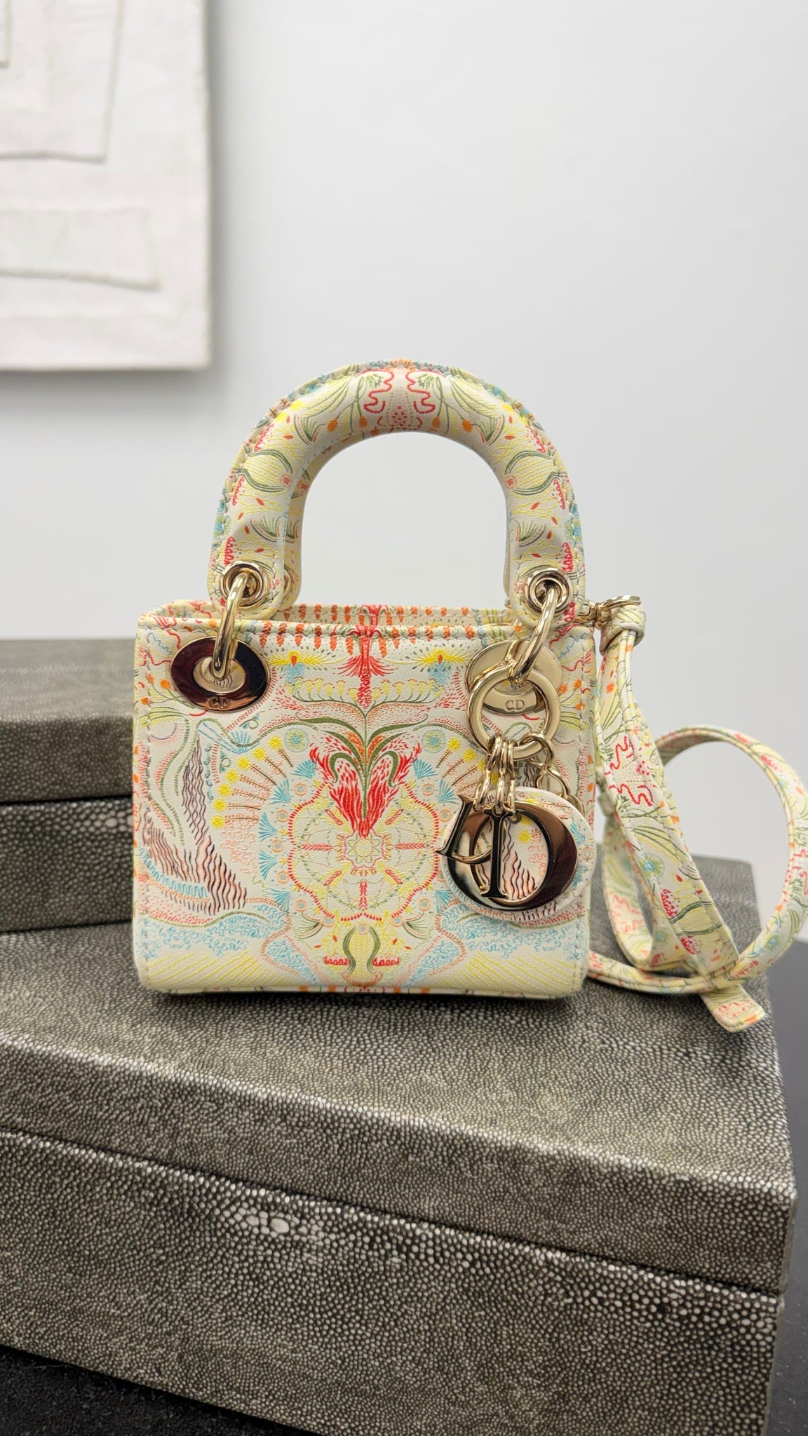 Christian Dior Ivory Multicolor Leather Embroidered In Lights Micro Lady Dior Handbag 