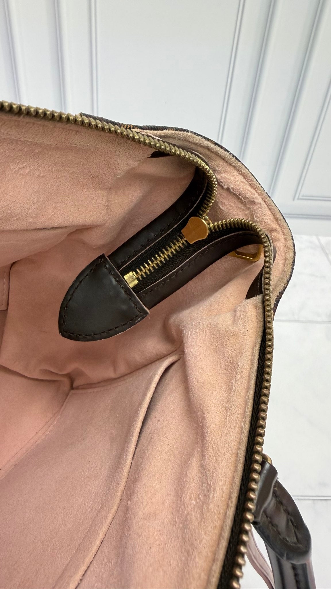 Louis Vuitton Damier Ebene & Pink Caissa PM 2Way Bag