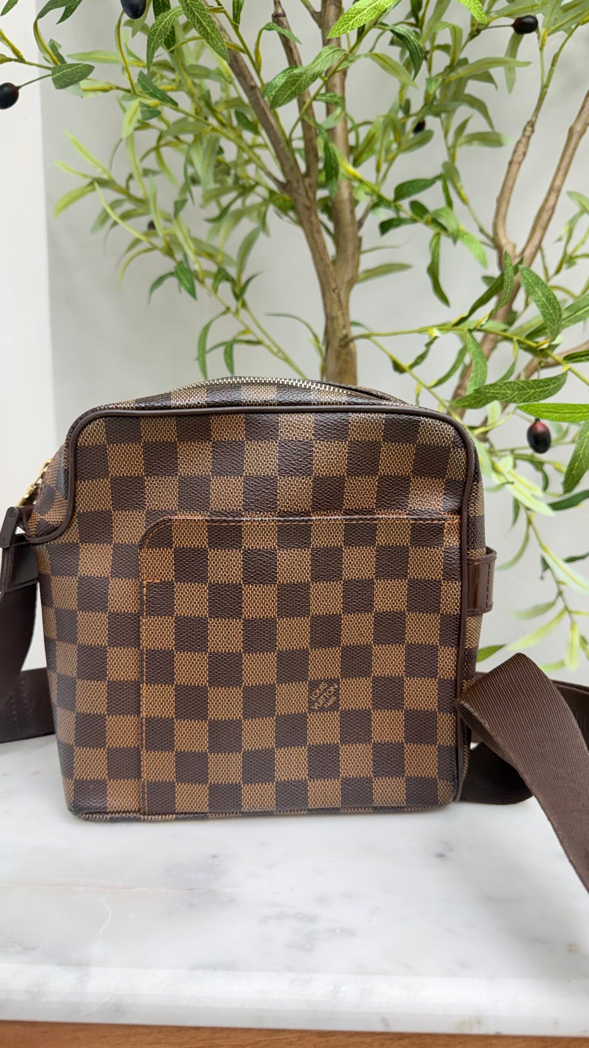 Louis Vuitton Damier Ebene Olav PM Crossbody Bag